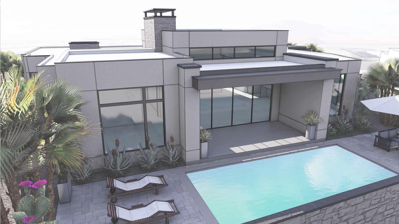 Rending of backyard concept