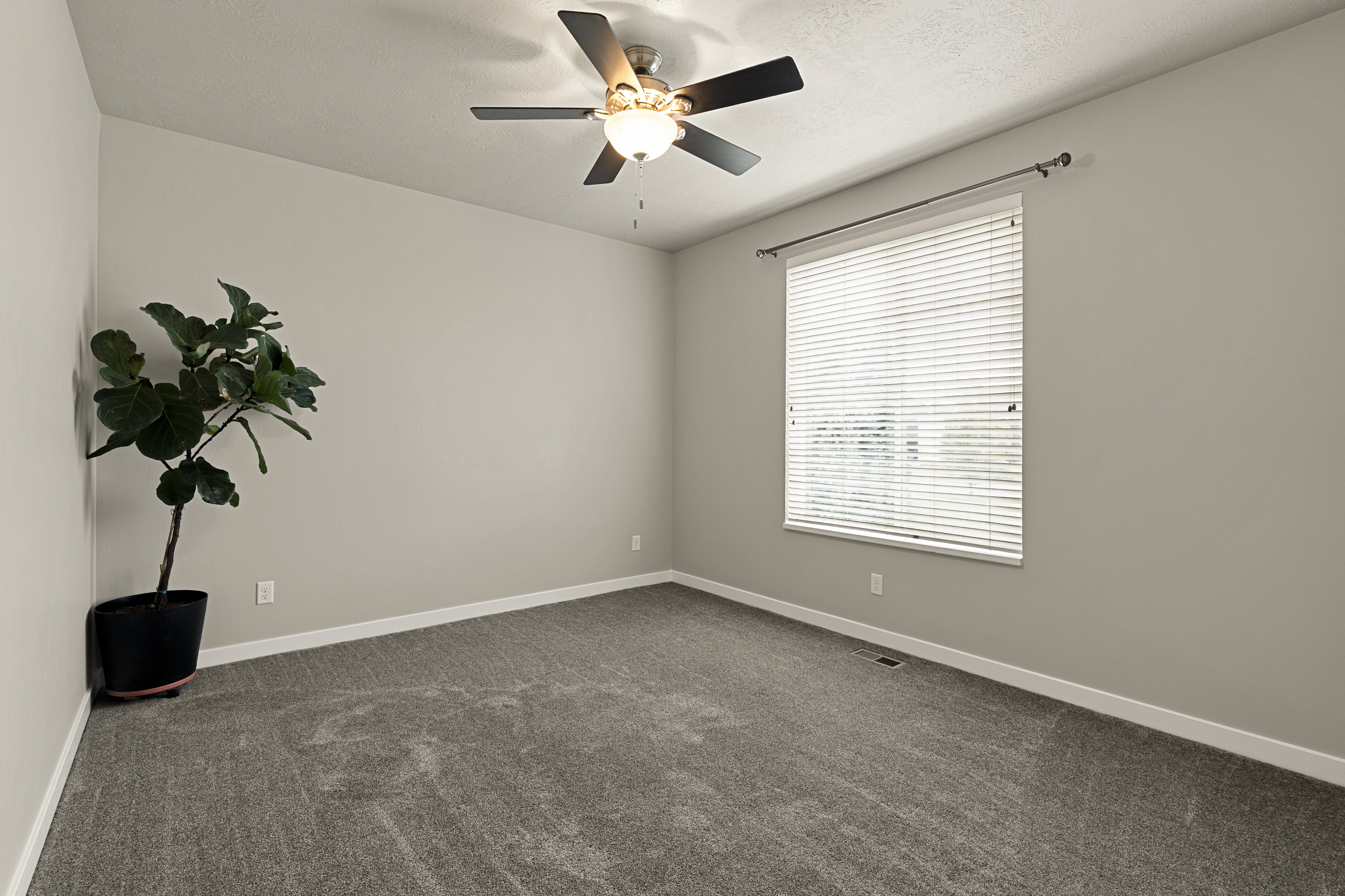 Spacious room featuring gray textured carpeting, neutral wall paint, and white baseboards