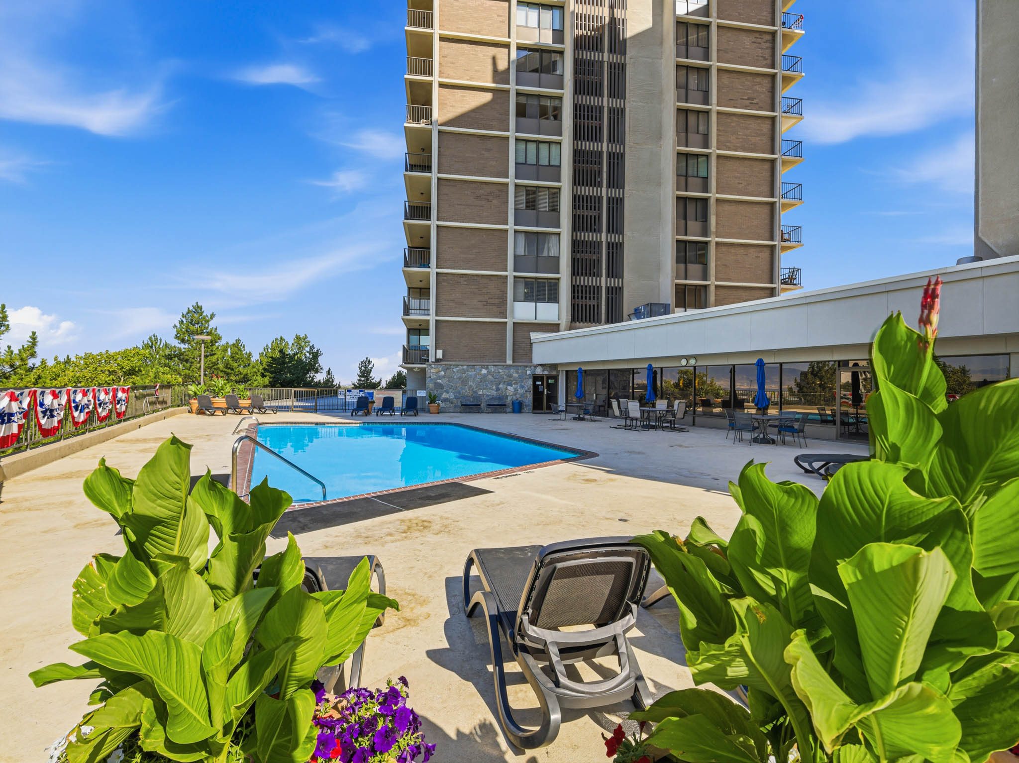 Outdoor swimming pool with concrete decking, surrounded by mature plantings and lounge seating