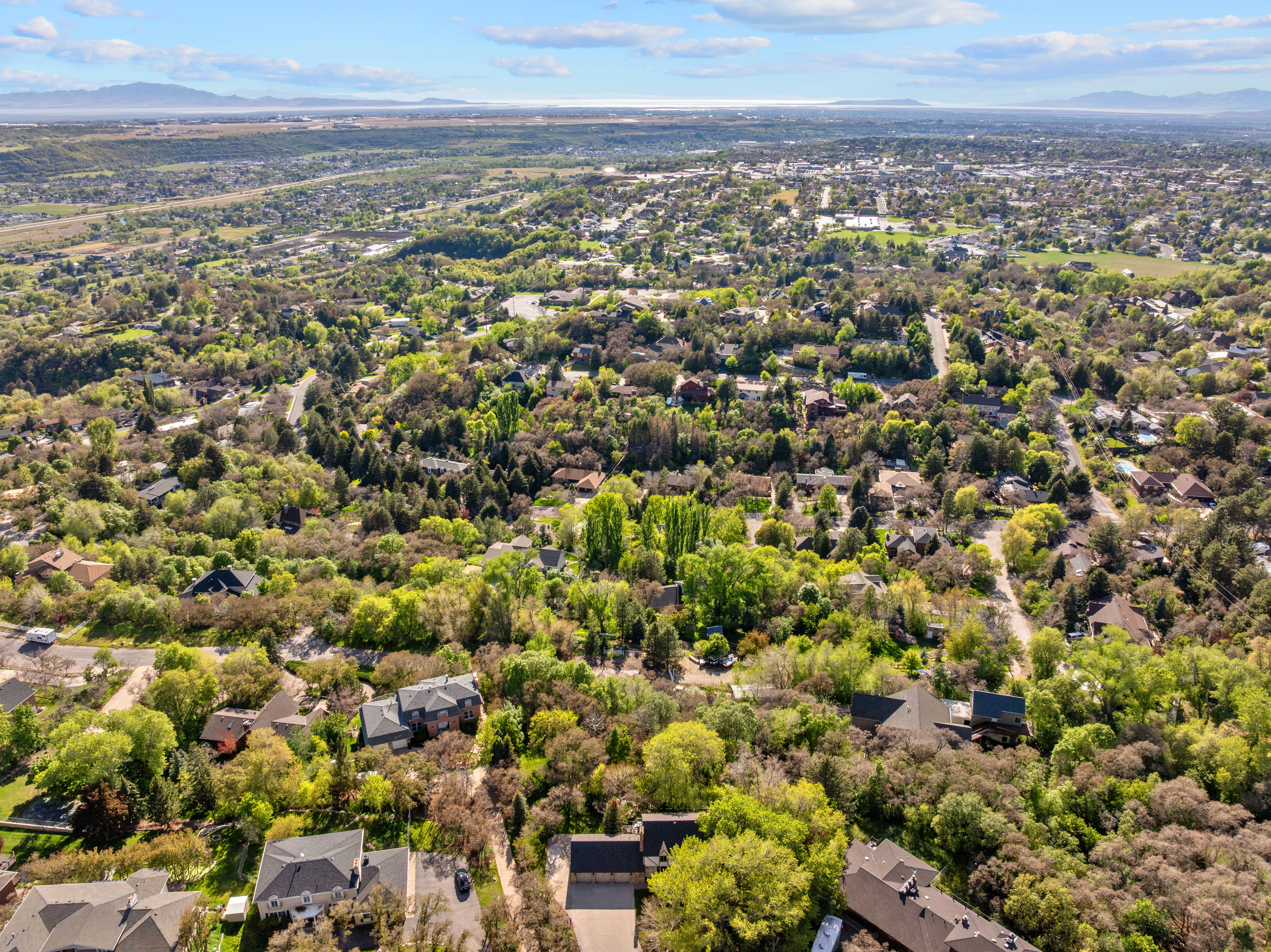 Expansive aerial perspective showcasing a residential area with mature tree coverage and distant mountains