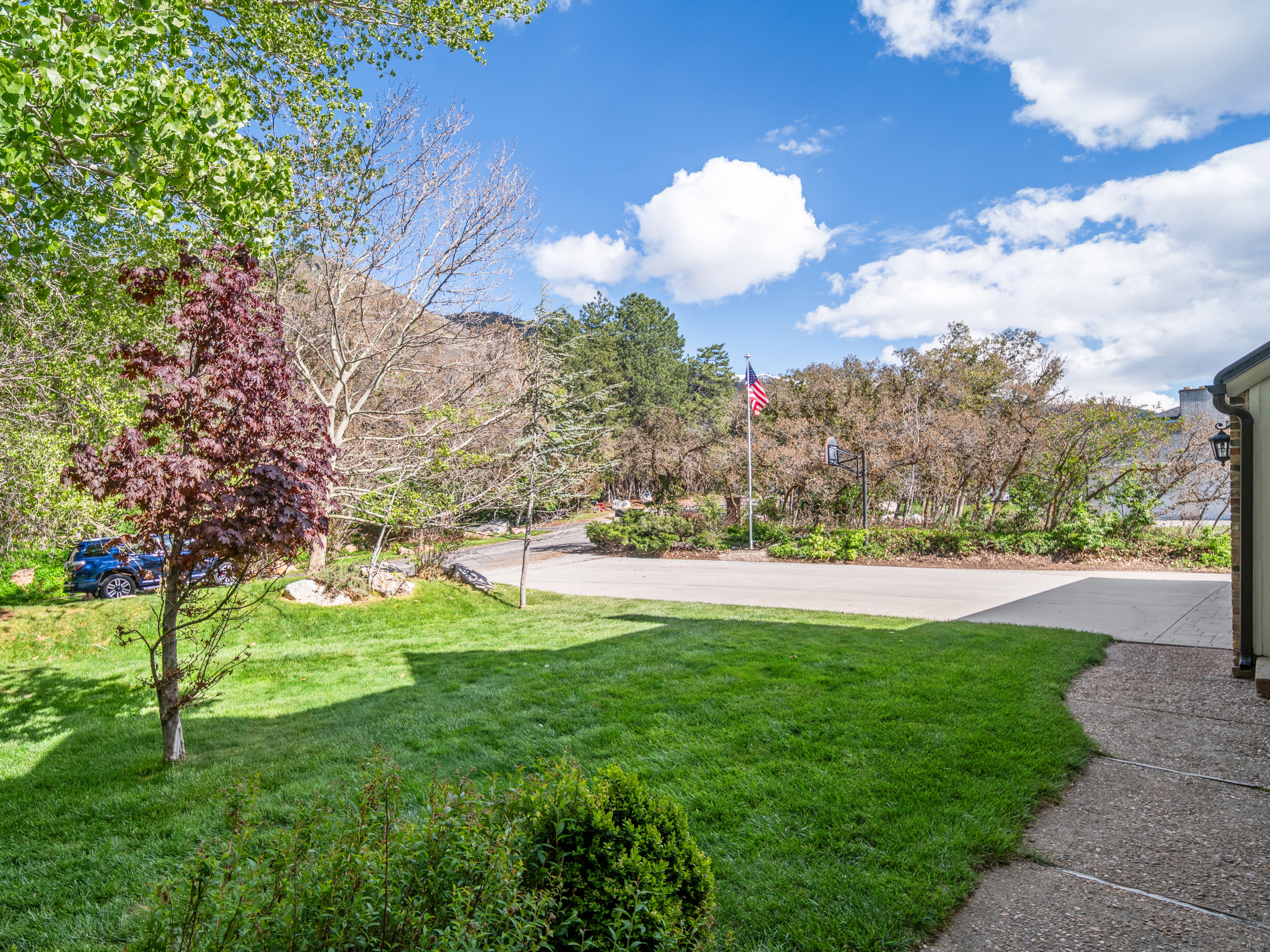Lush green lawn with mature trees and a paved driveway