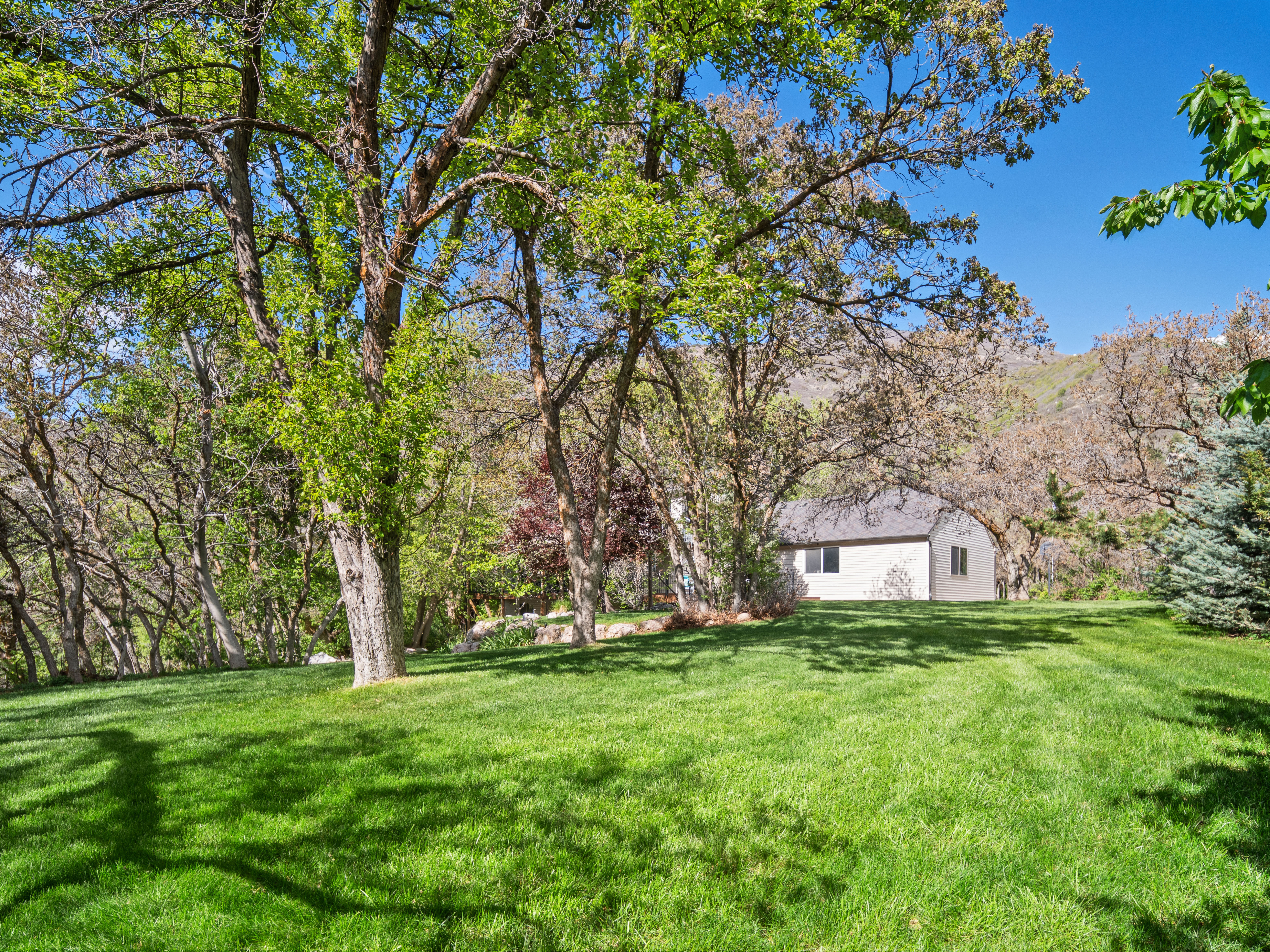 Expansive green lawn surrounded by mature trees, featuring a light-colored exterior dwelling with a dark roof and visible windows
