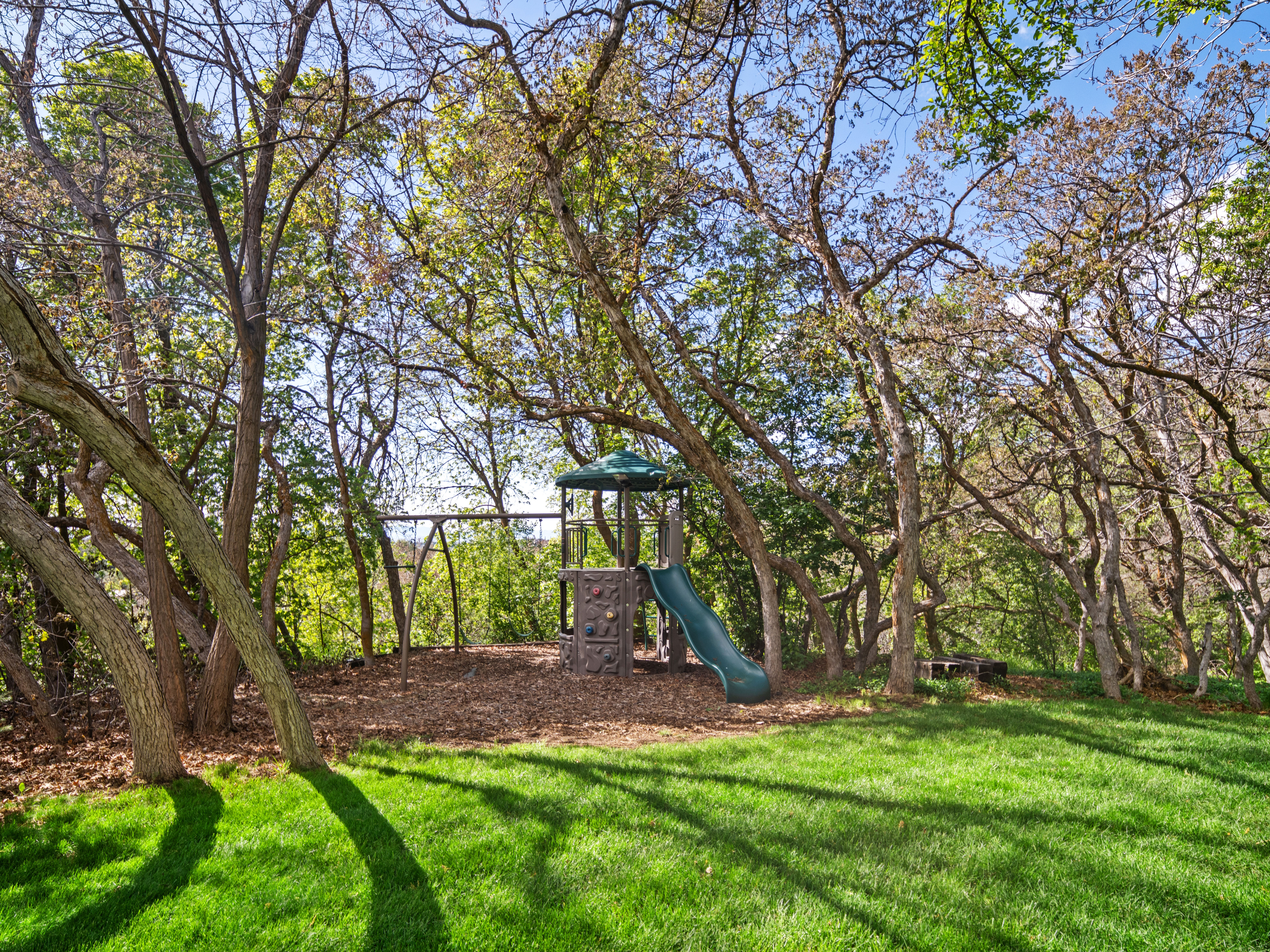 Lush green lawn surrounded by mature trees, featuring a dedicated play area with a structure and swing set