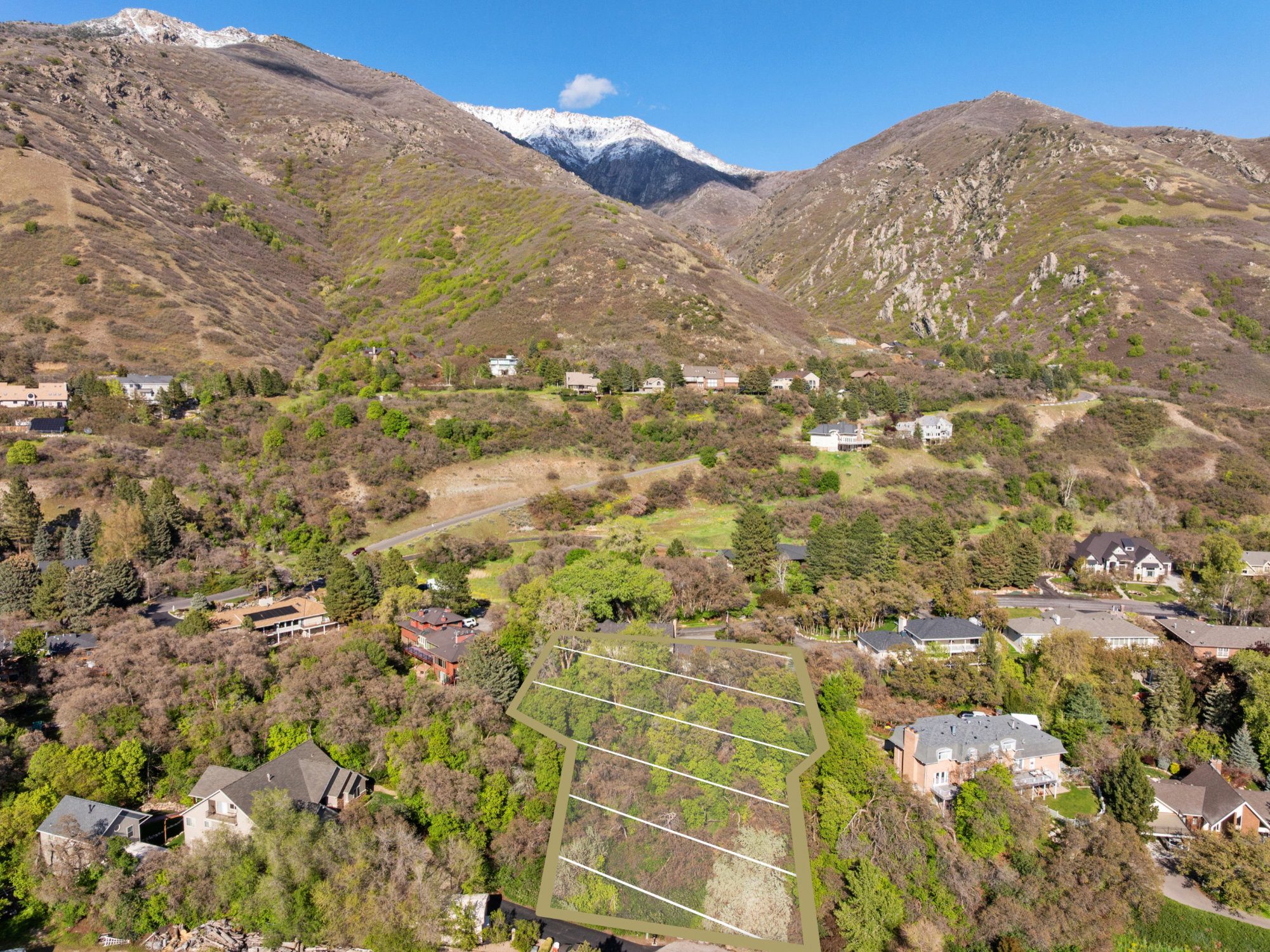 Expansive hillside lot with partial tree coverage, surrounded by established residences