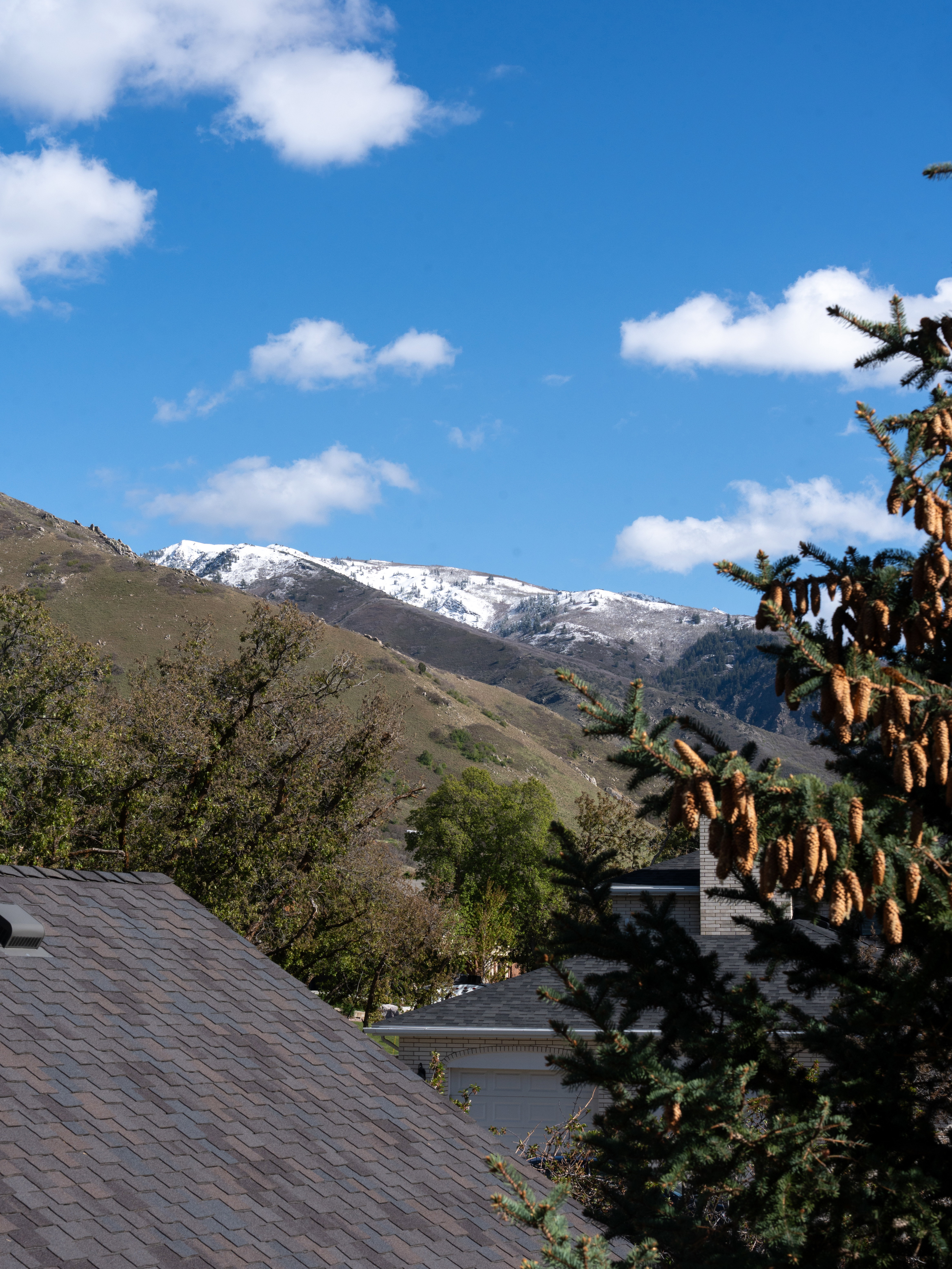 Snow-capped mountain backdrop with mature evergreen trees and residential roofing visible