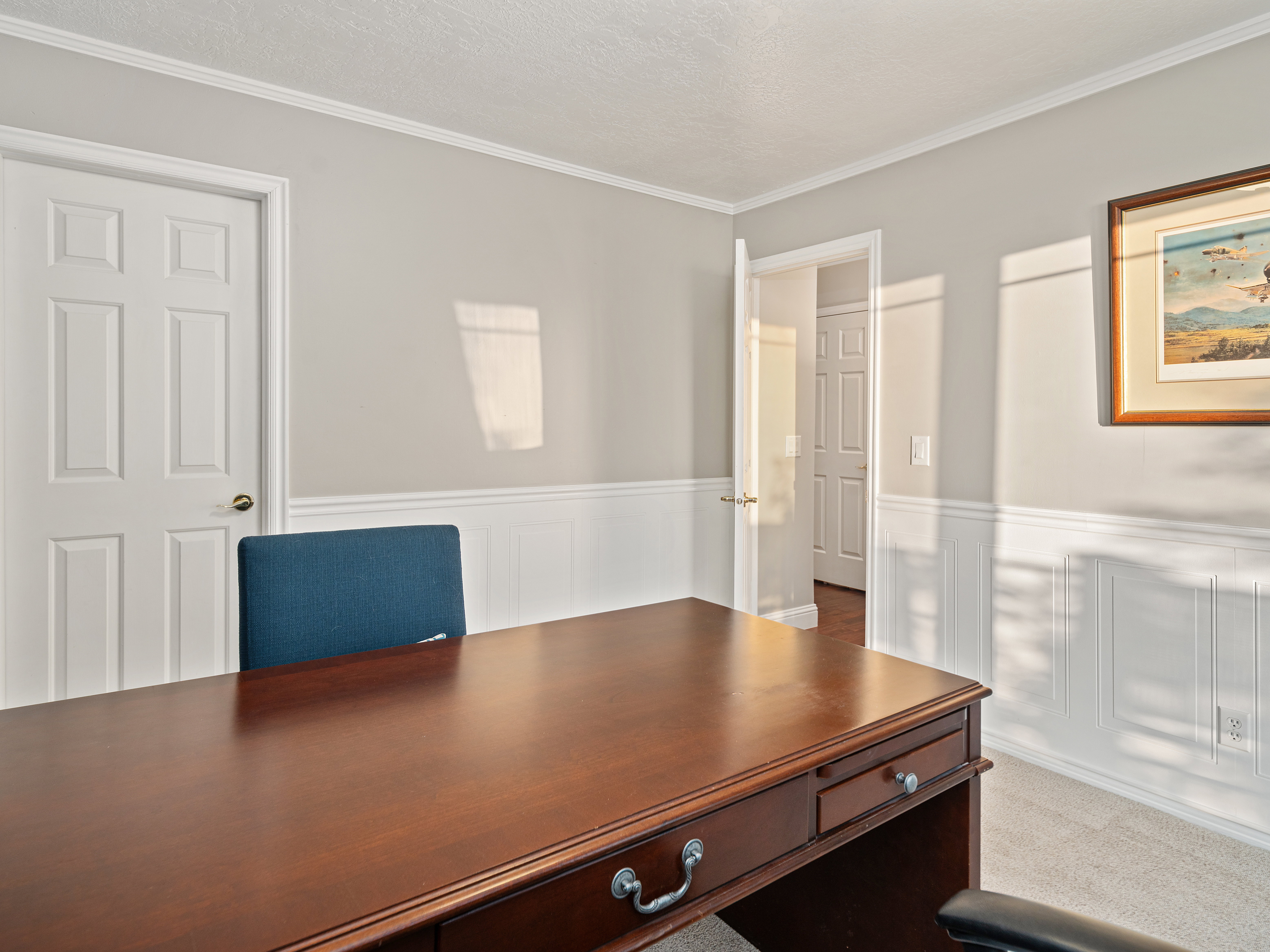 Carpeted room featuring light gray walls, white crown molding, and wainscoting paneling