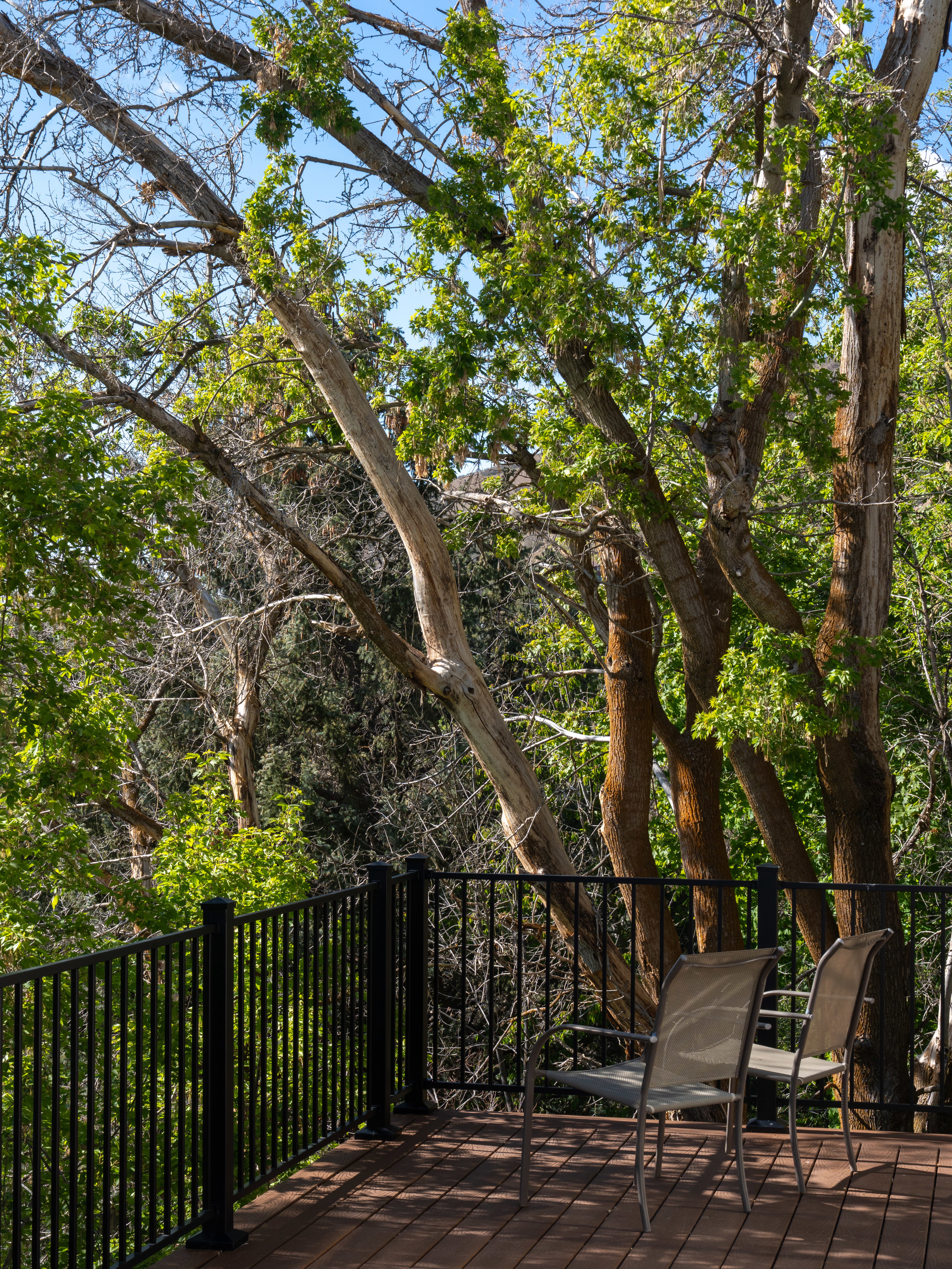 Exterior deck featuring composite wood-finish flooring and black metal railings