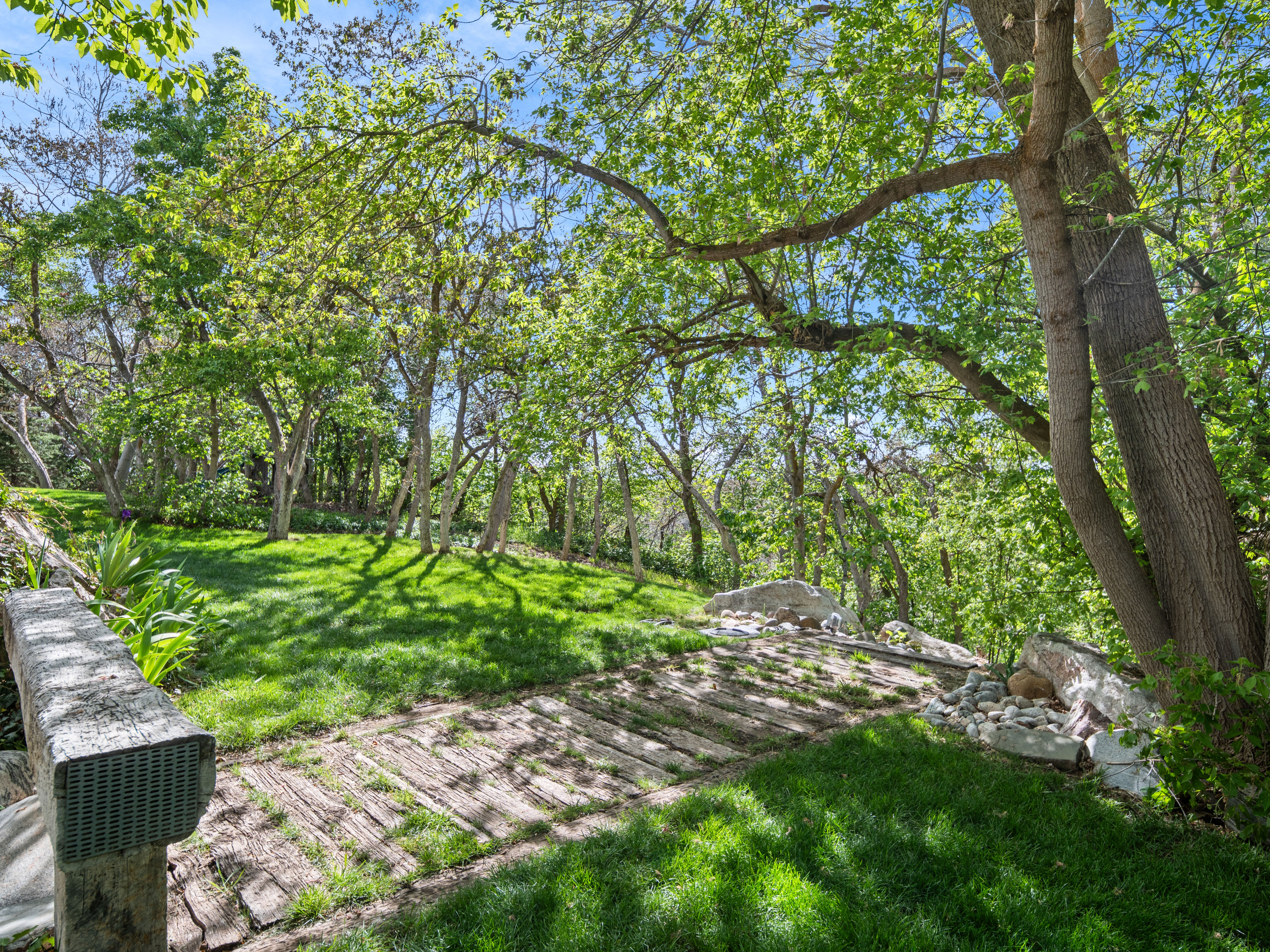 Sloping landscape featuring mature trees and a manicured lawn