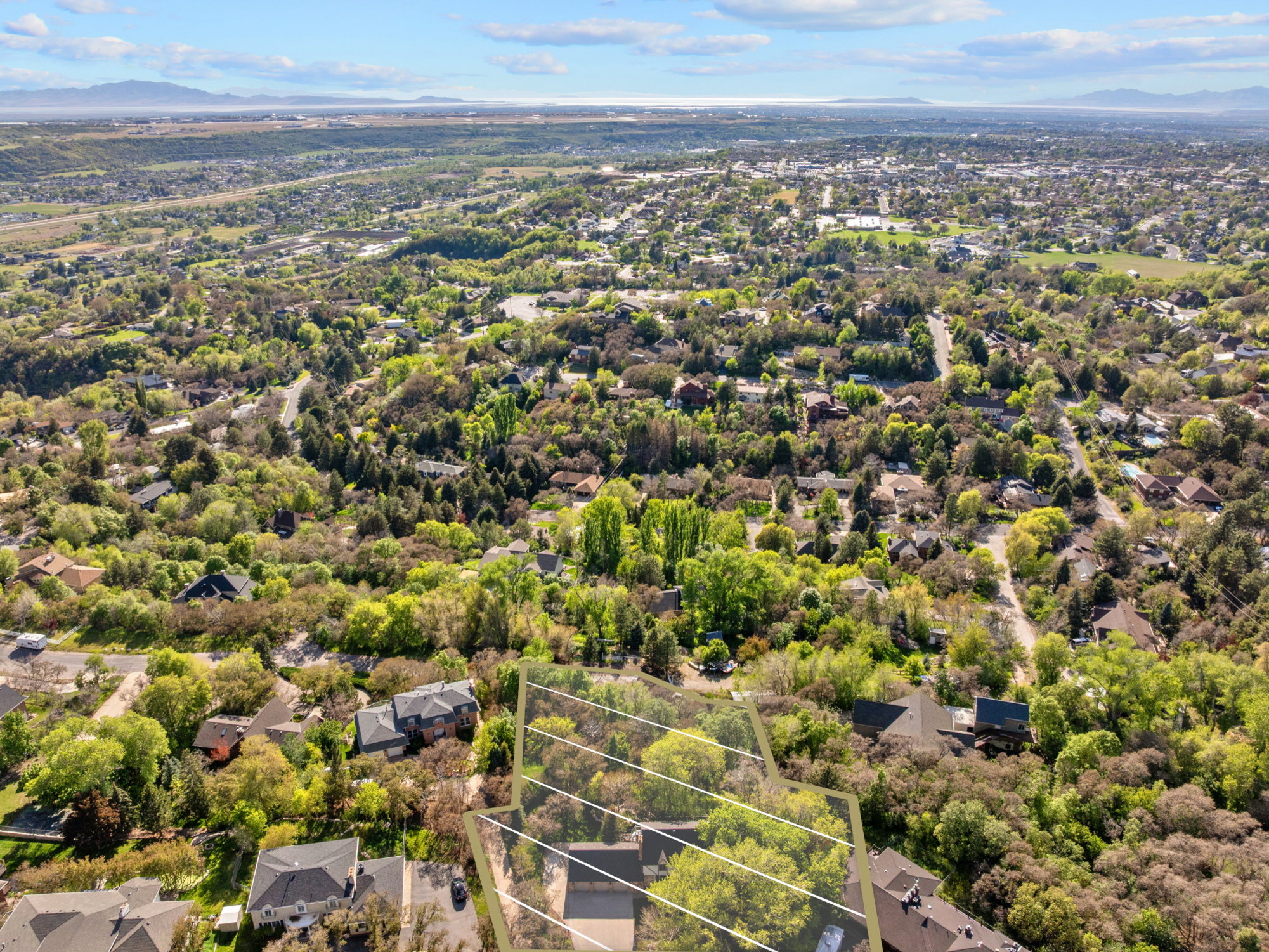 Expansive aerial view showcasing a verdant, tree-lined neighborhood