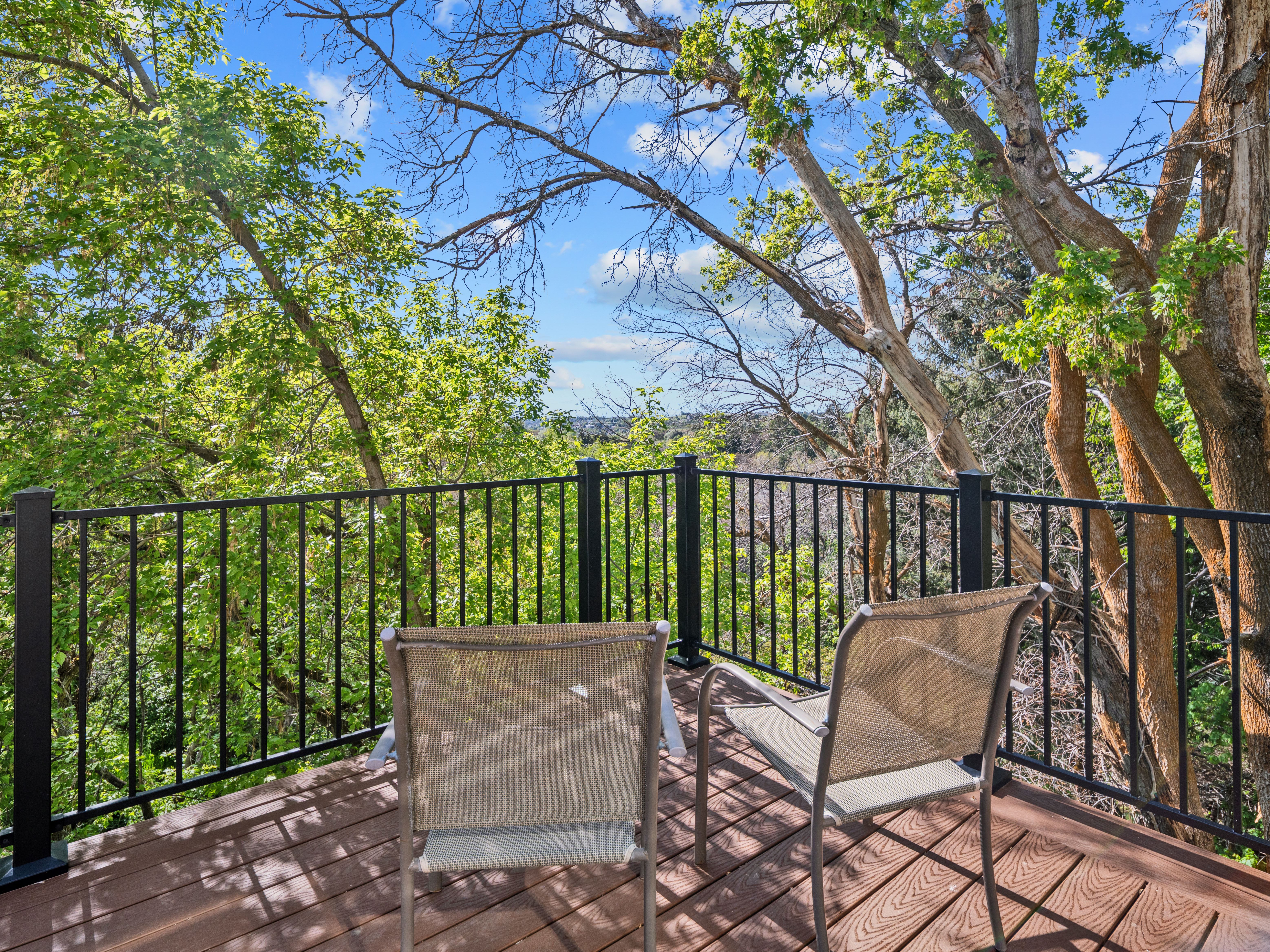 Elevated outdoor deck featuring dark wood-finish flooring and black metal railings