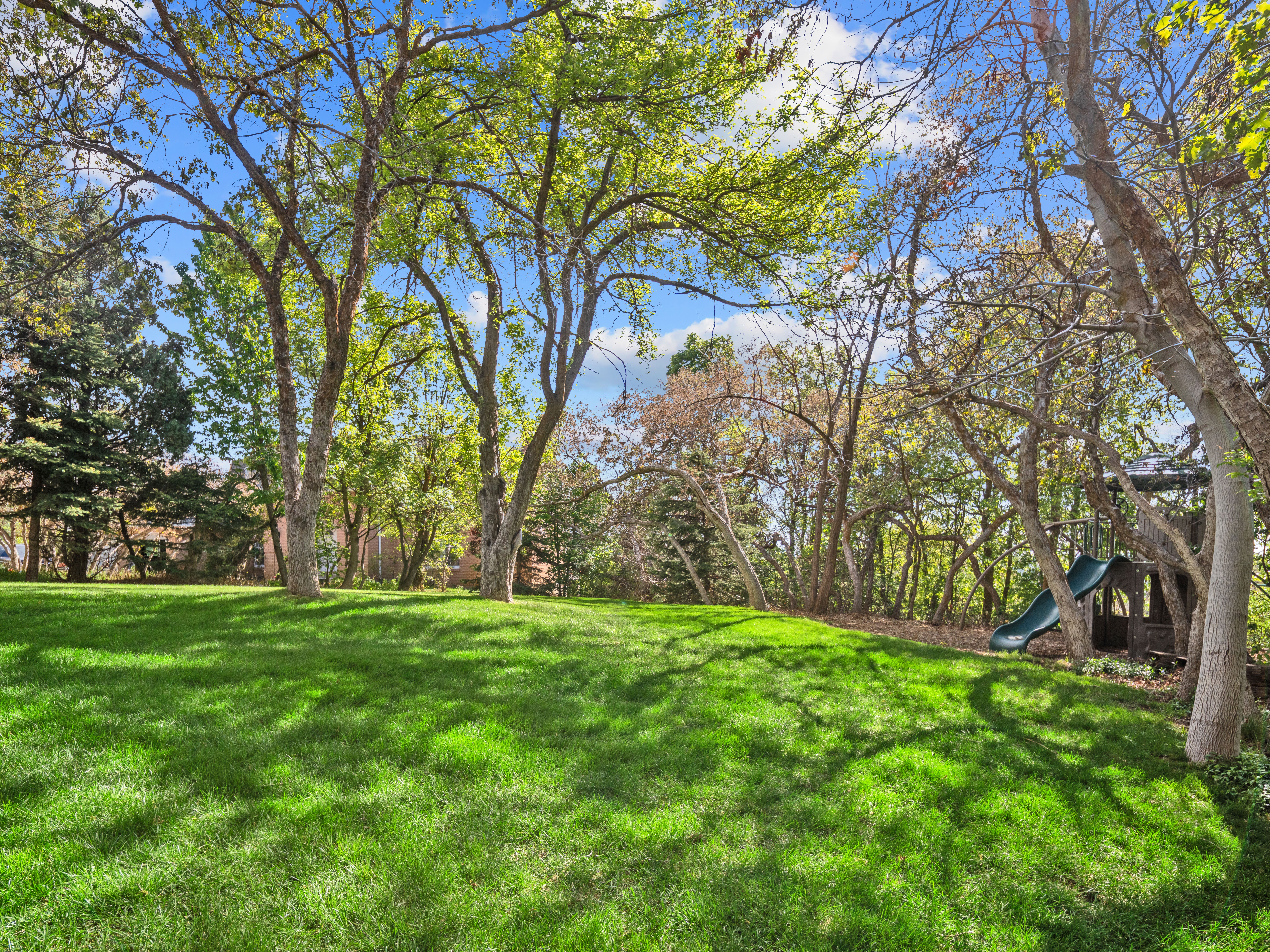 Expansive backyard featuring a manicured lawn, mature trees providing natural shade, and a terraced landscape