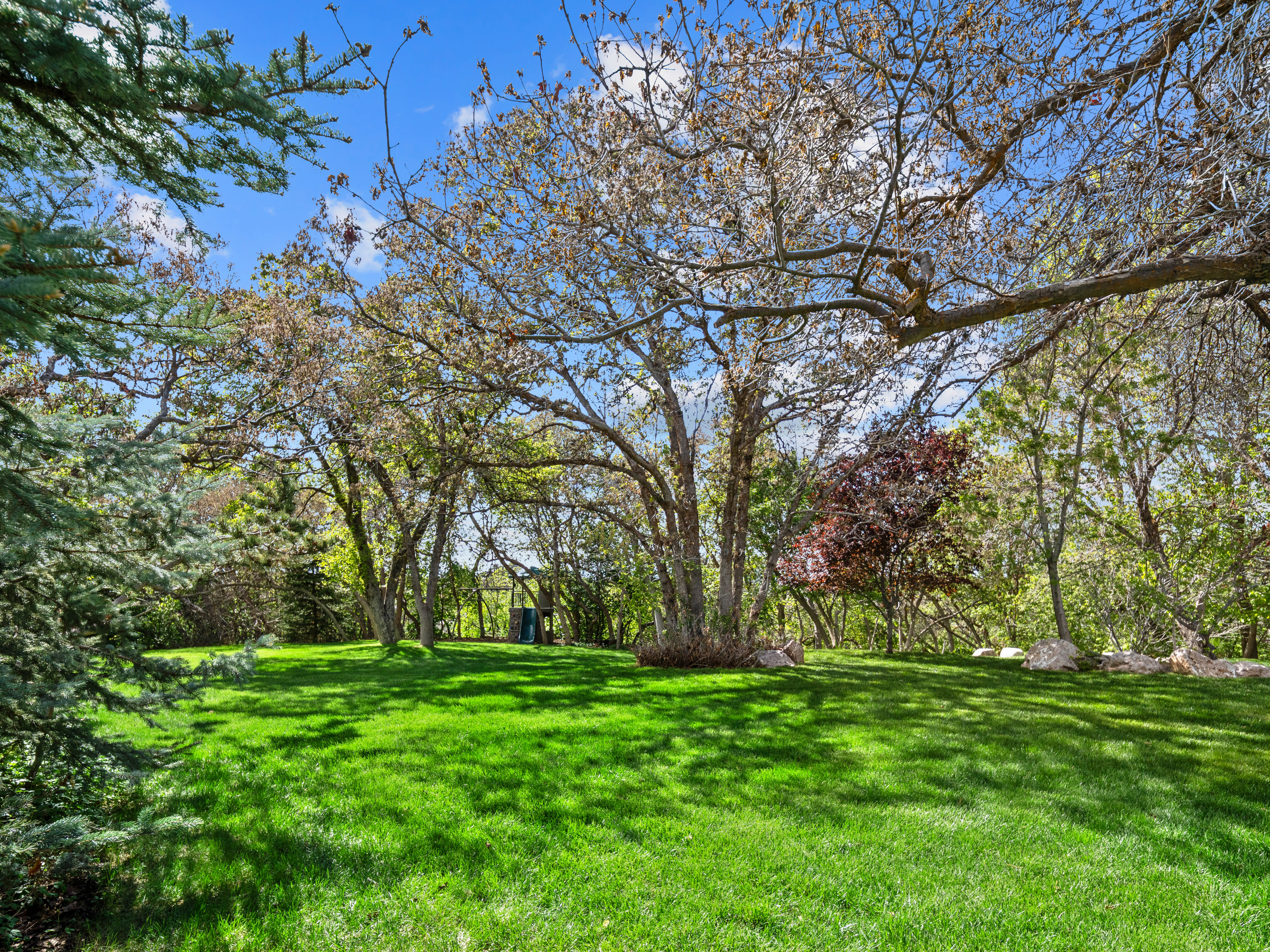 Expansive lawn area surrounded by mature trees