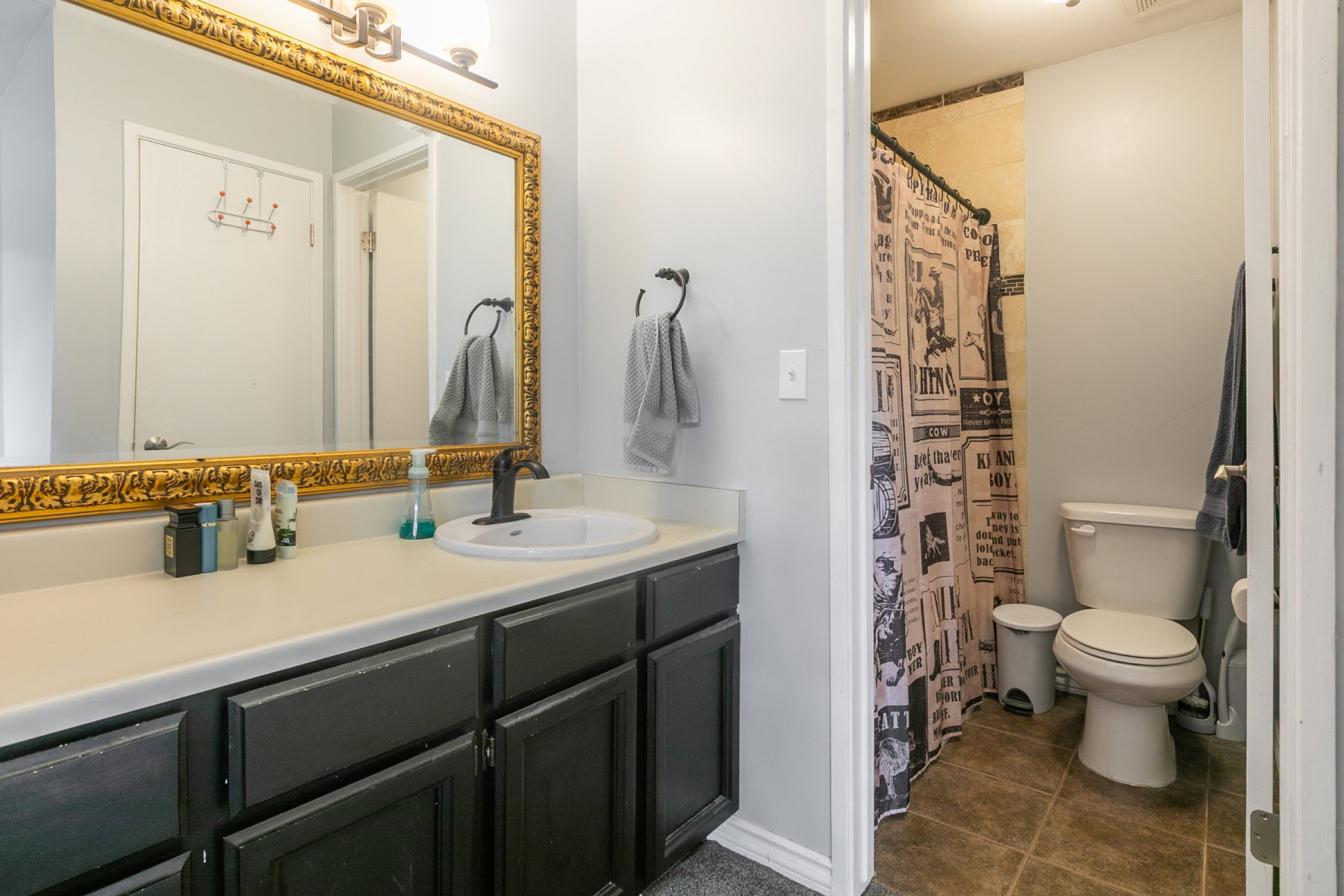 Bathroom vanity featuring a single basin, dark cabinetry, and an ornate gold-framed mirror