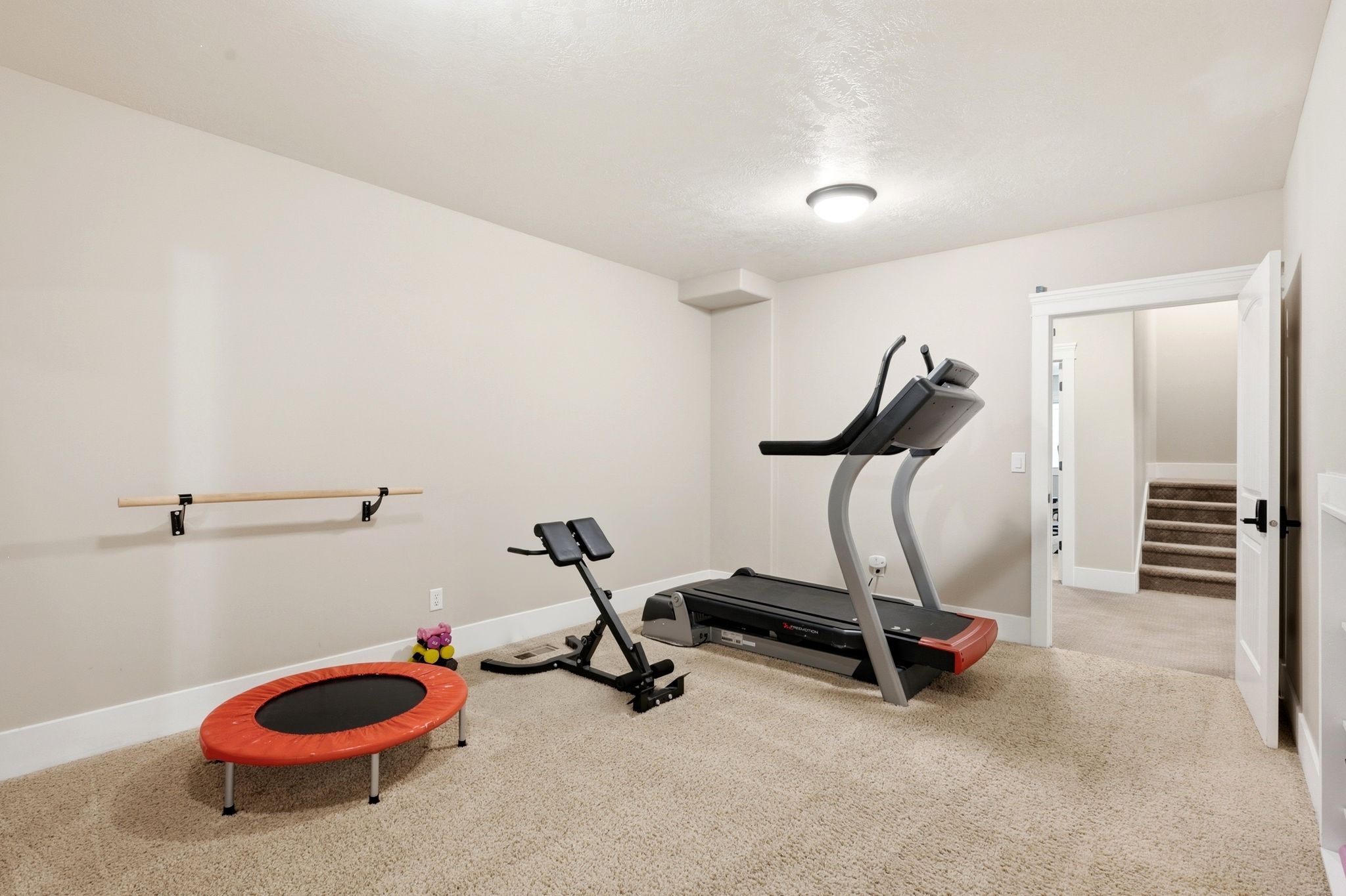 Spacious room featuring neutral carpeting, light-toned walls, and a built-in ballet barre