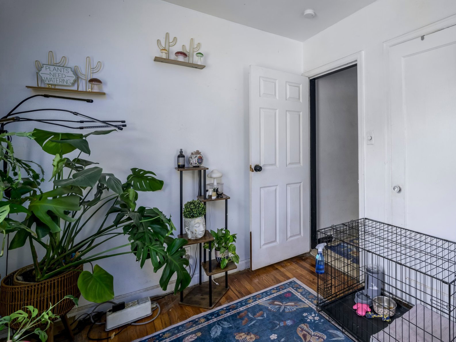 Hardwood-finish flooring complements white walls and trim