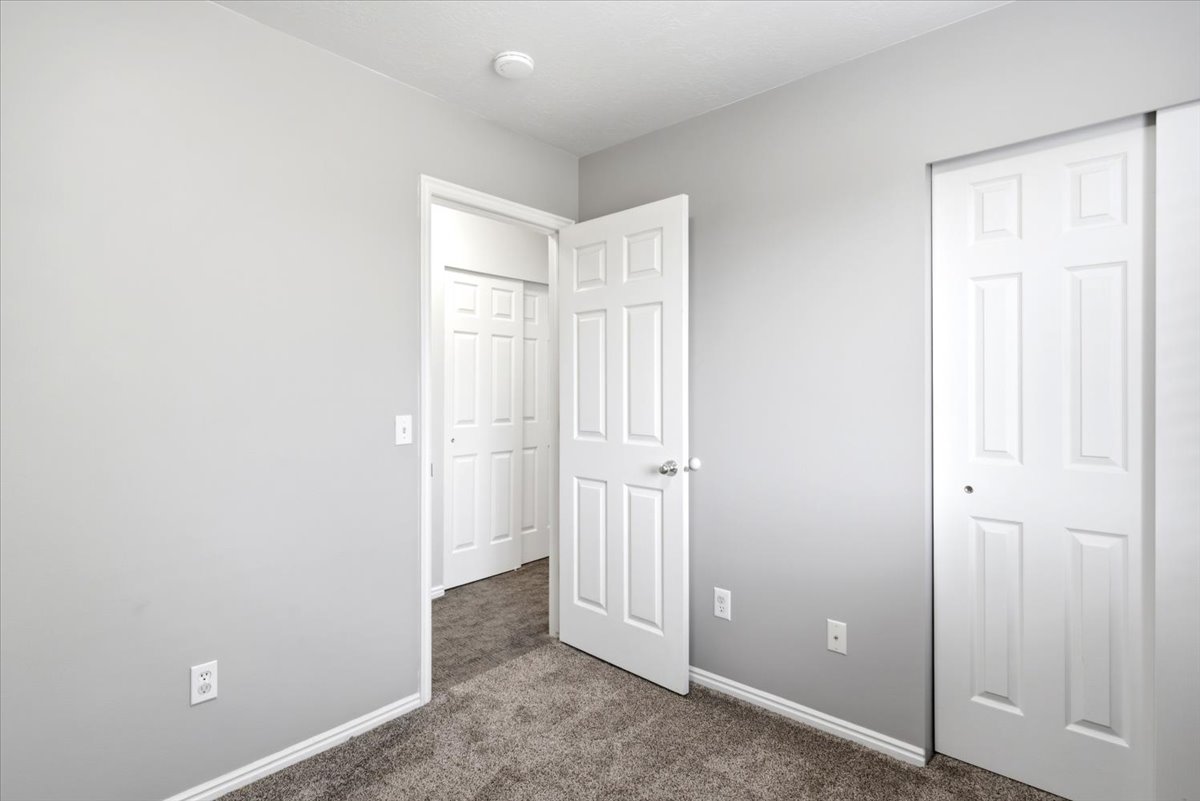 Room featuring light gray walls, white trim, and gray carpet