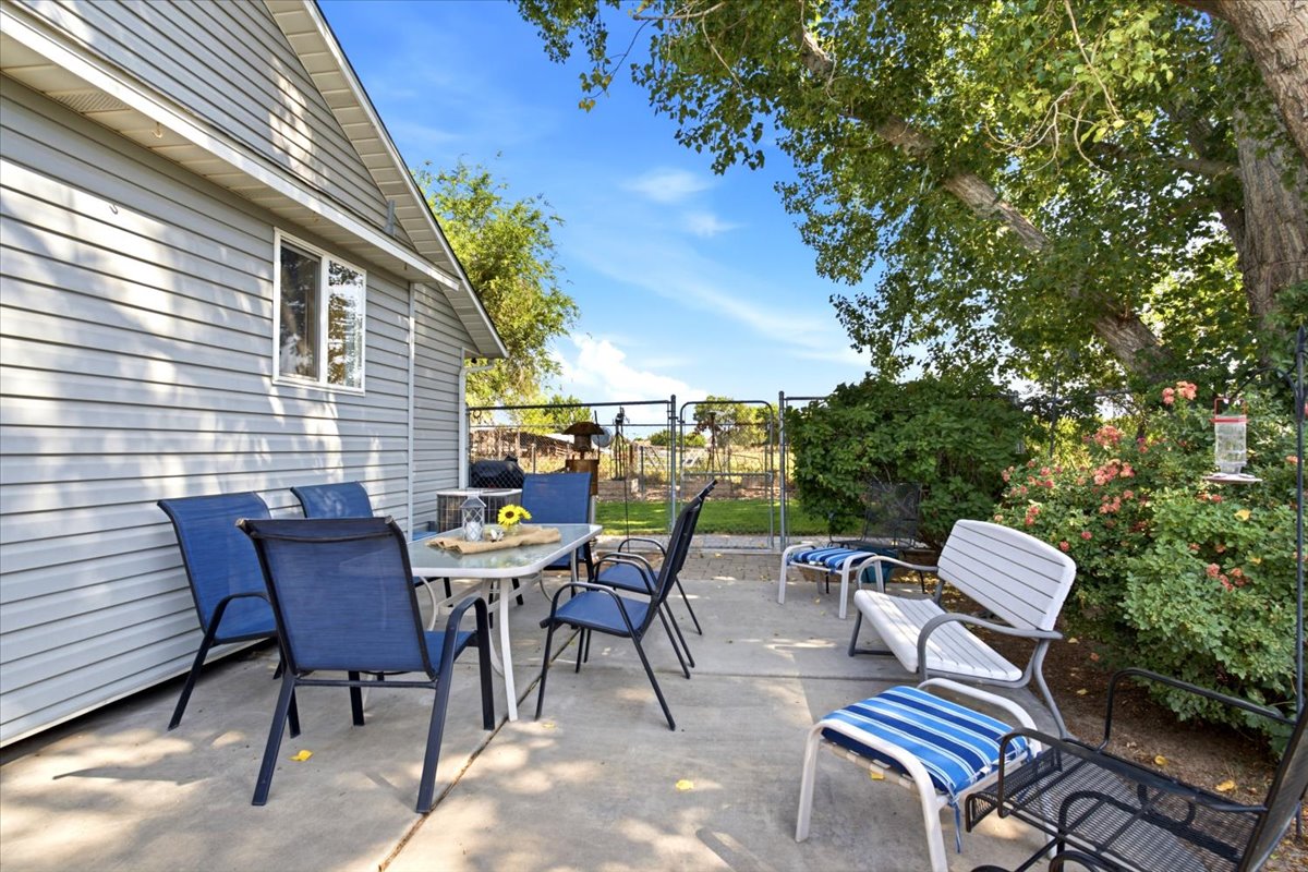 Concrete patio featuring a large shade tree, lush green foliage, and a chain-link fence