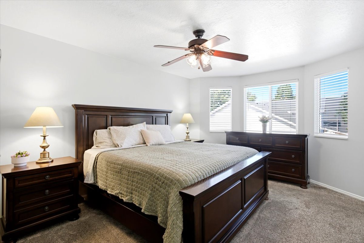 Carpeted room featuring a ceiling fan with light fixture, multiple windows with blinds, and light-toned walls