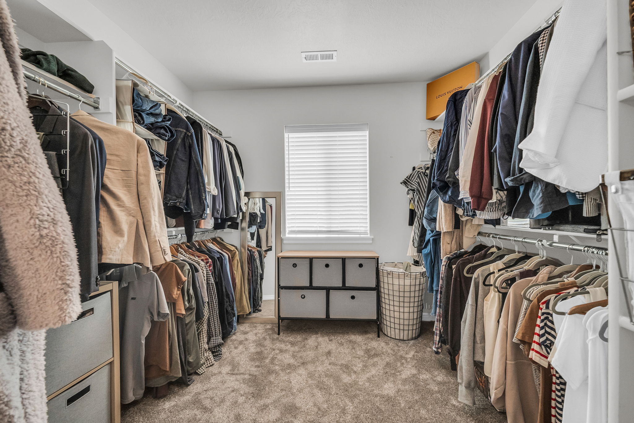 Walk-in closet featuring carpet flooring, built-in shelving, hanging rods, and a window with blinds