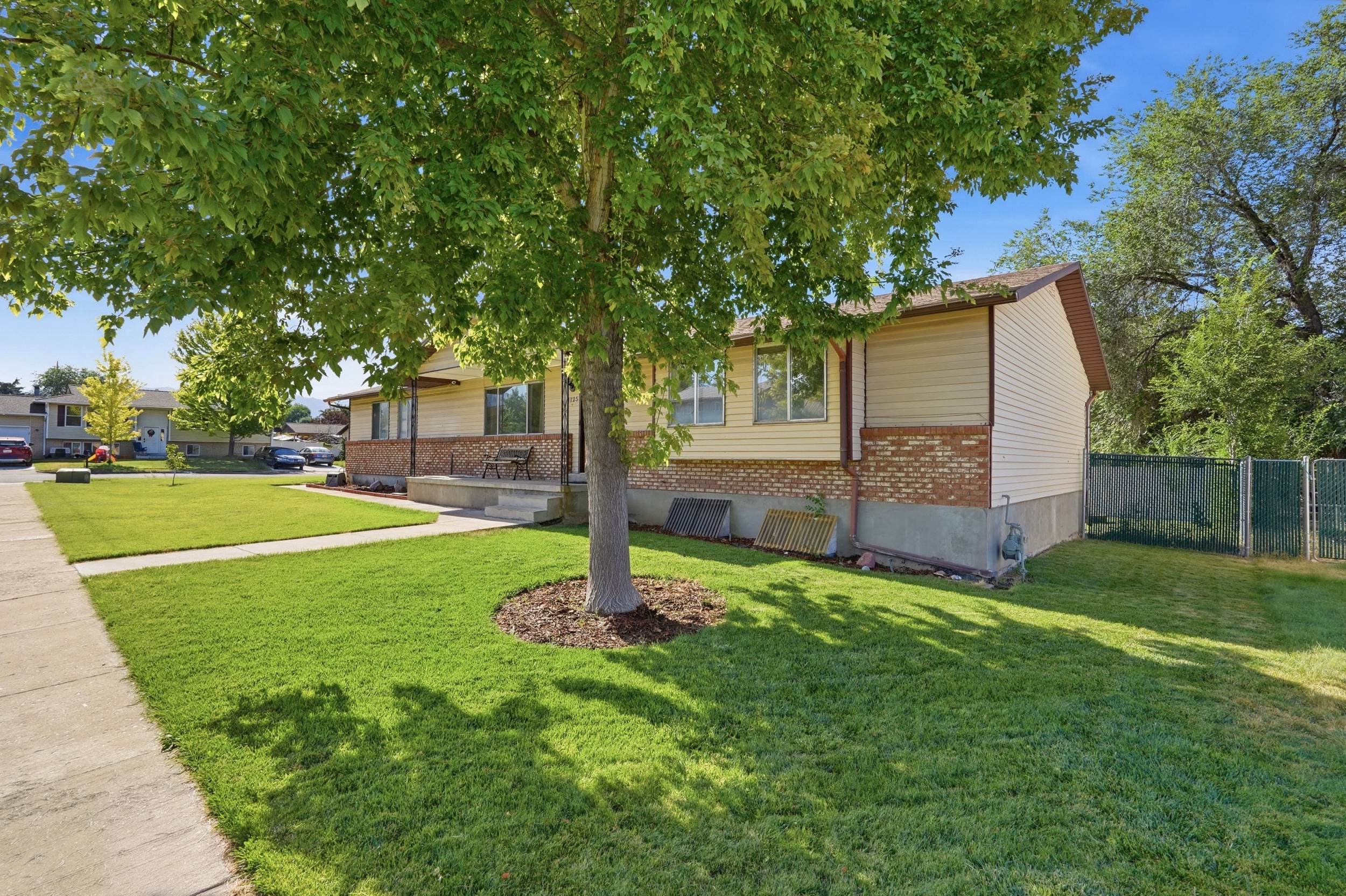 Landscaped front yard with a mature shade tree and a concrete walkway