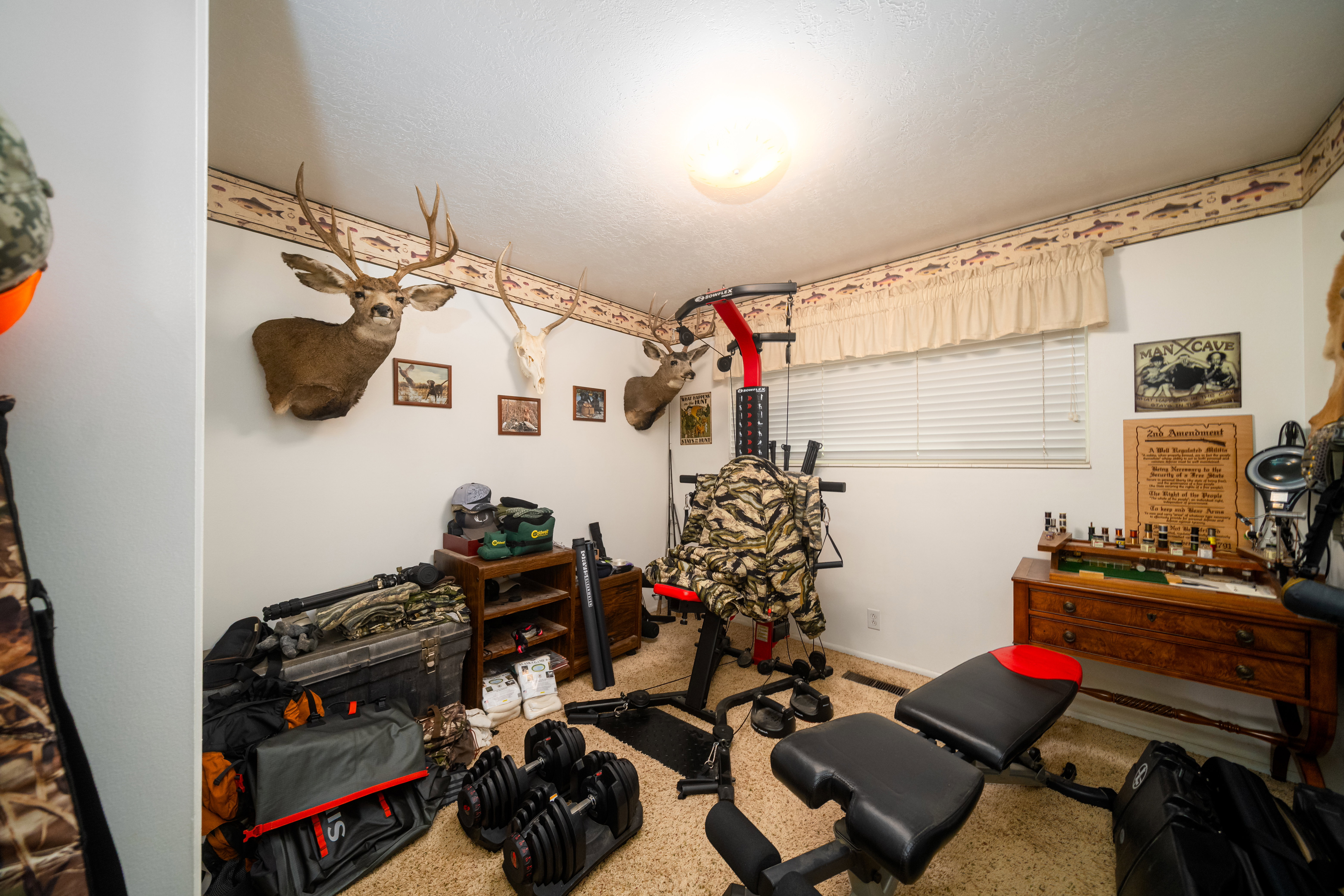 Carpeted room featuring a window with horizontal blinds and a decorative valance