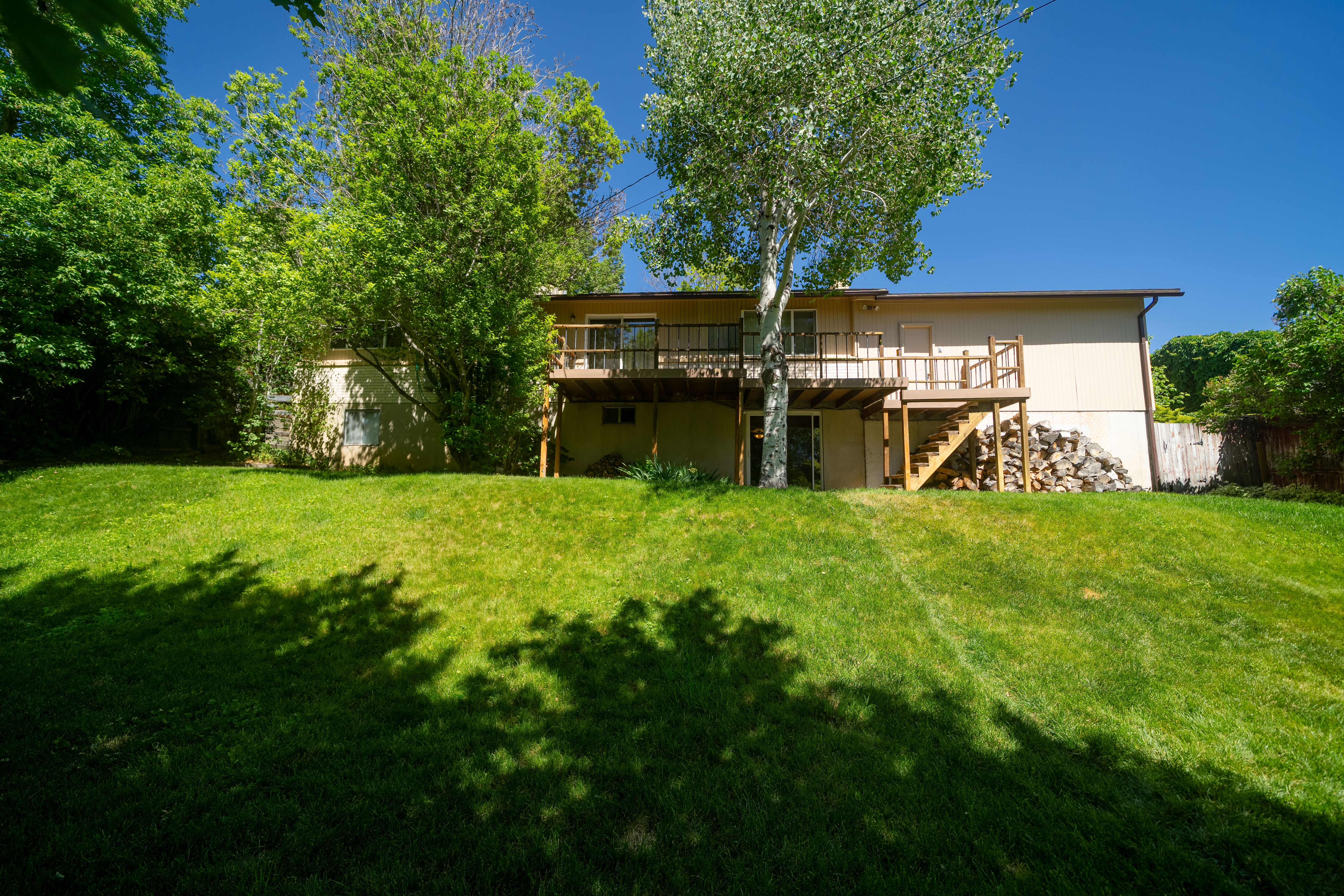 Expansive grassy backyard featuring mature trees