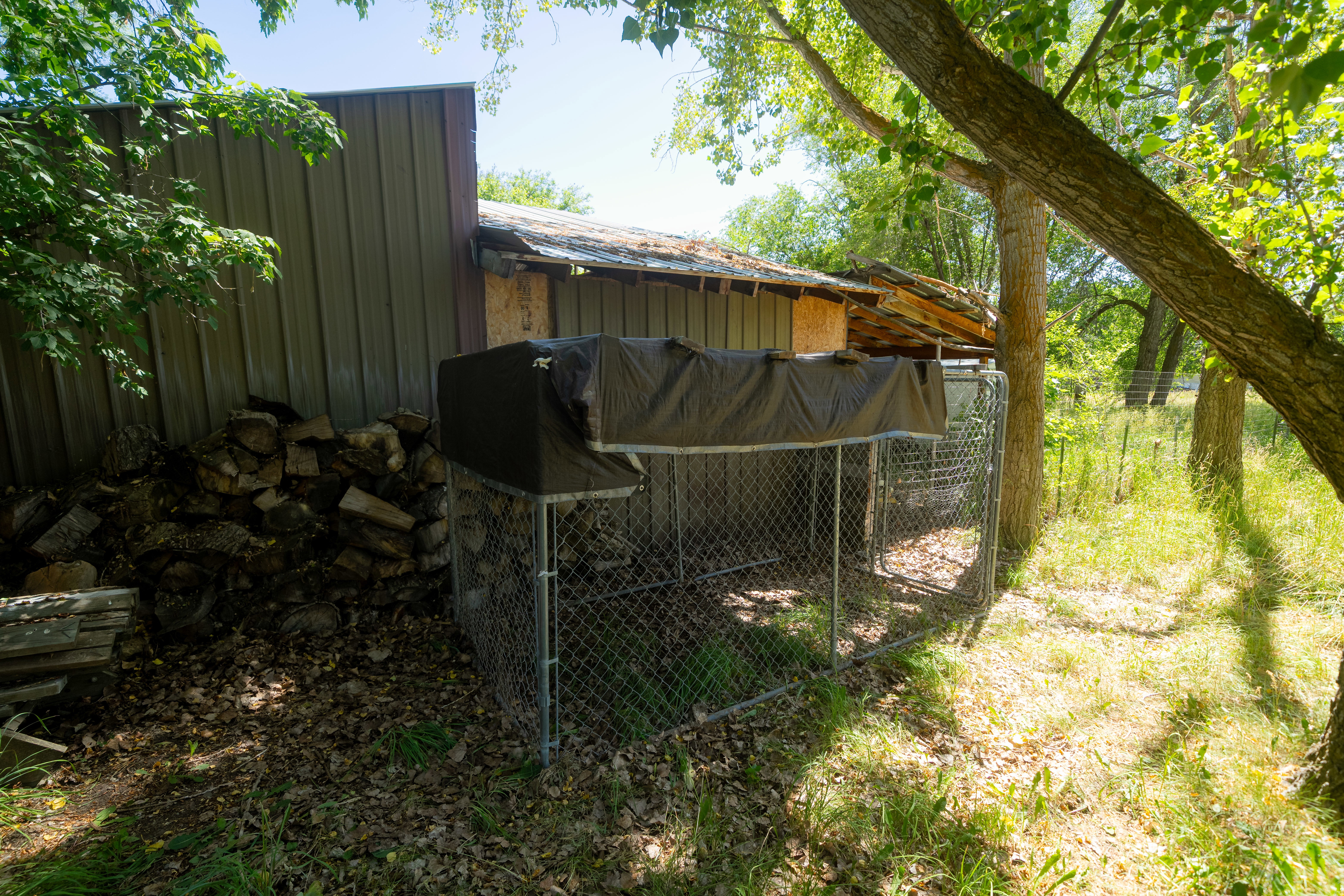 Chain link enclosure situated on a shaded parcel with mature trees and a metal-sided utility building