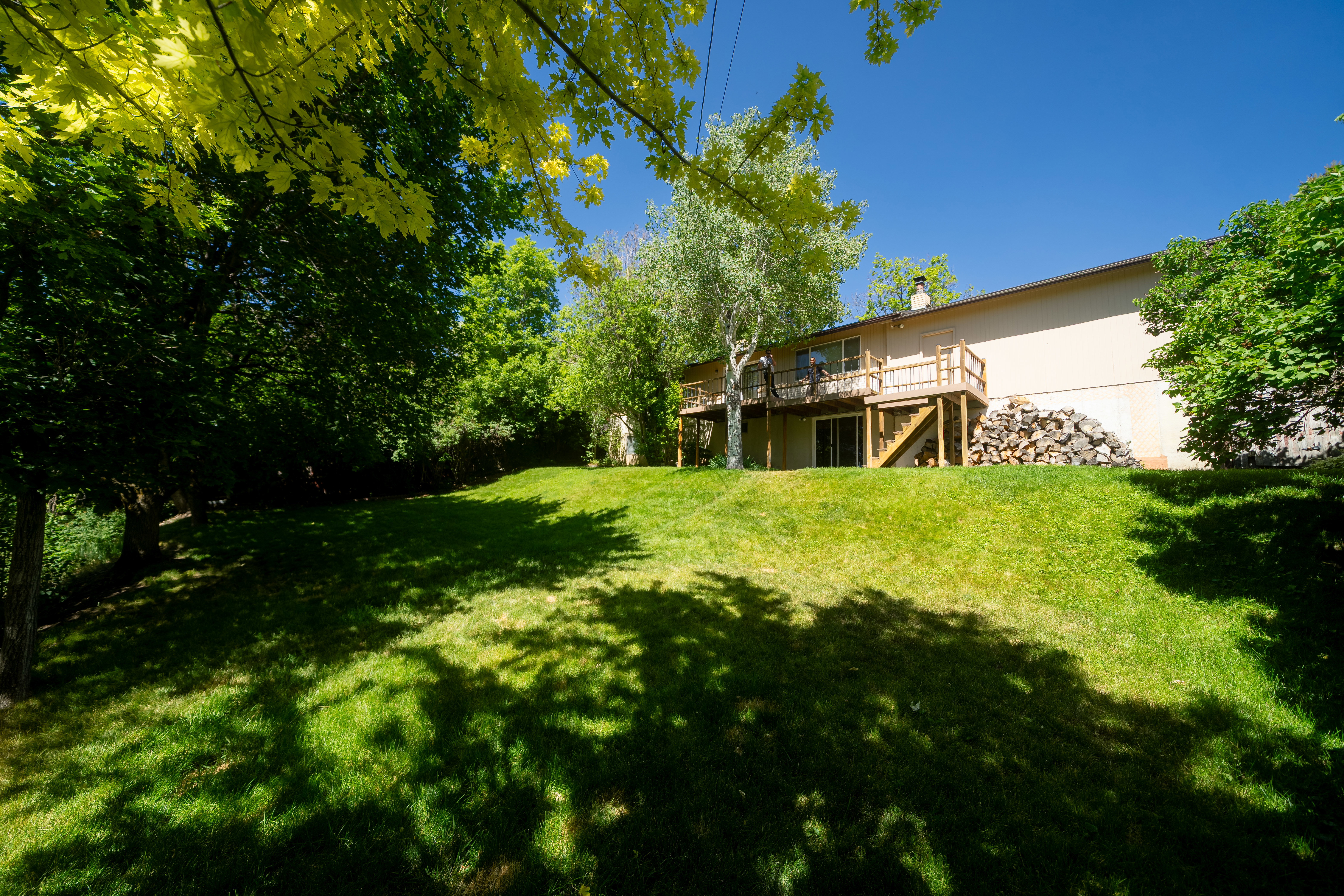 Expansive grassy yard with mature trees