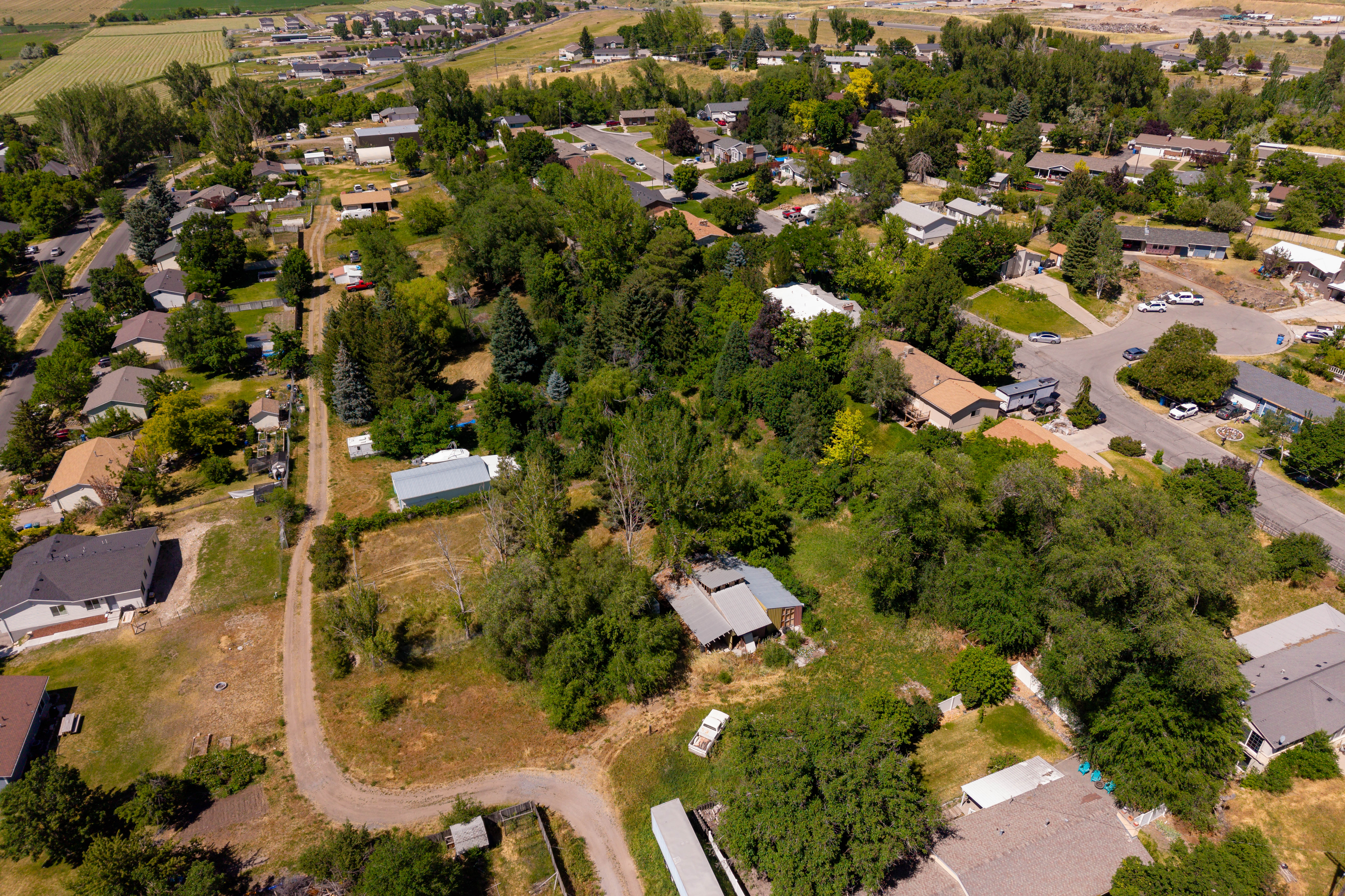 Expansive lot featuring mature trees and ample green space