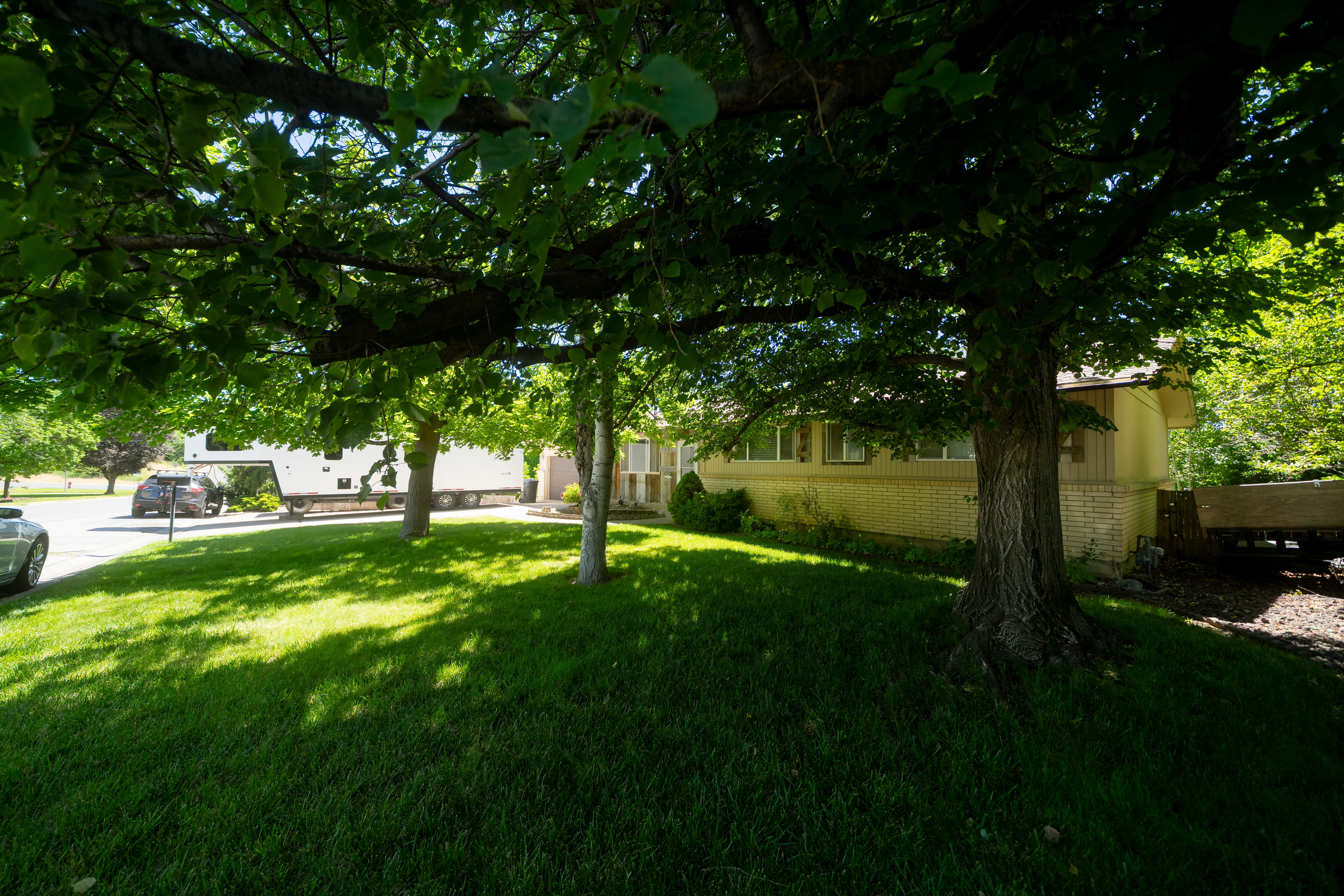Expansive front yard featuring mature shade trees, a manicured lawn, and a light-colored brick exterior