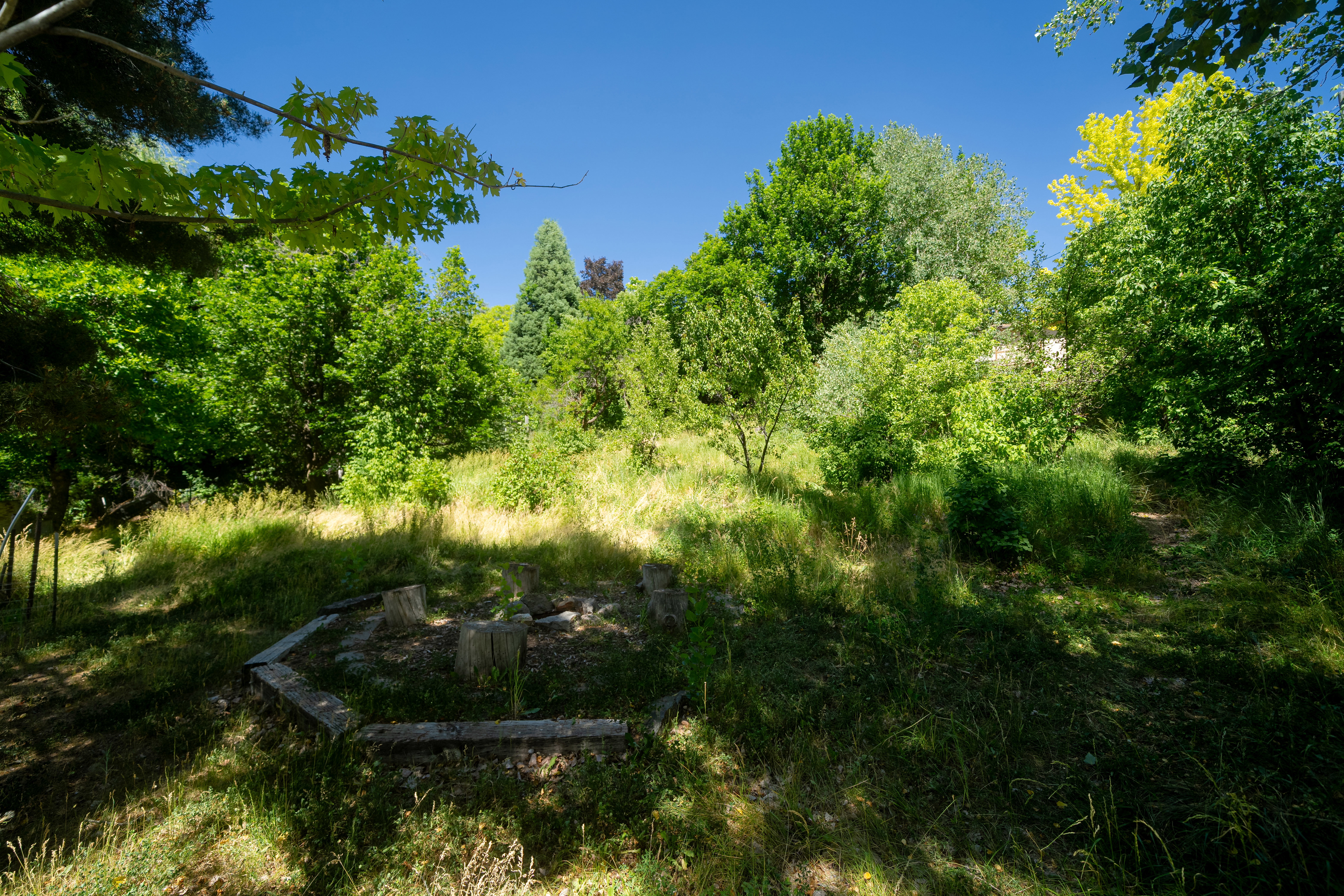 Terraced outdoor space featuring a stone-lined fire pit, surrounded by mature trees, and natural landscaping with varied foliage