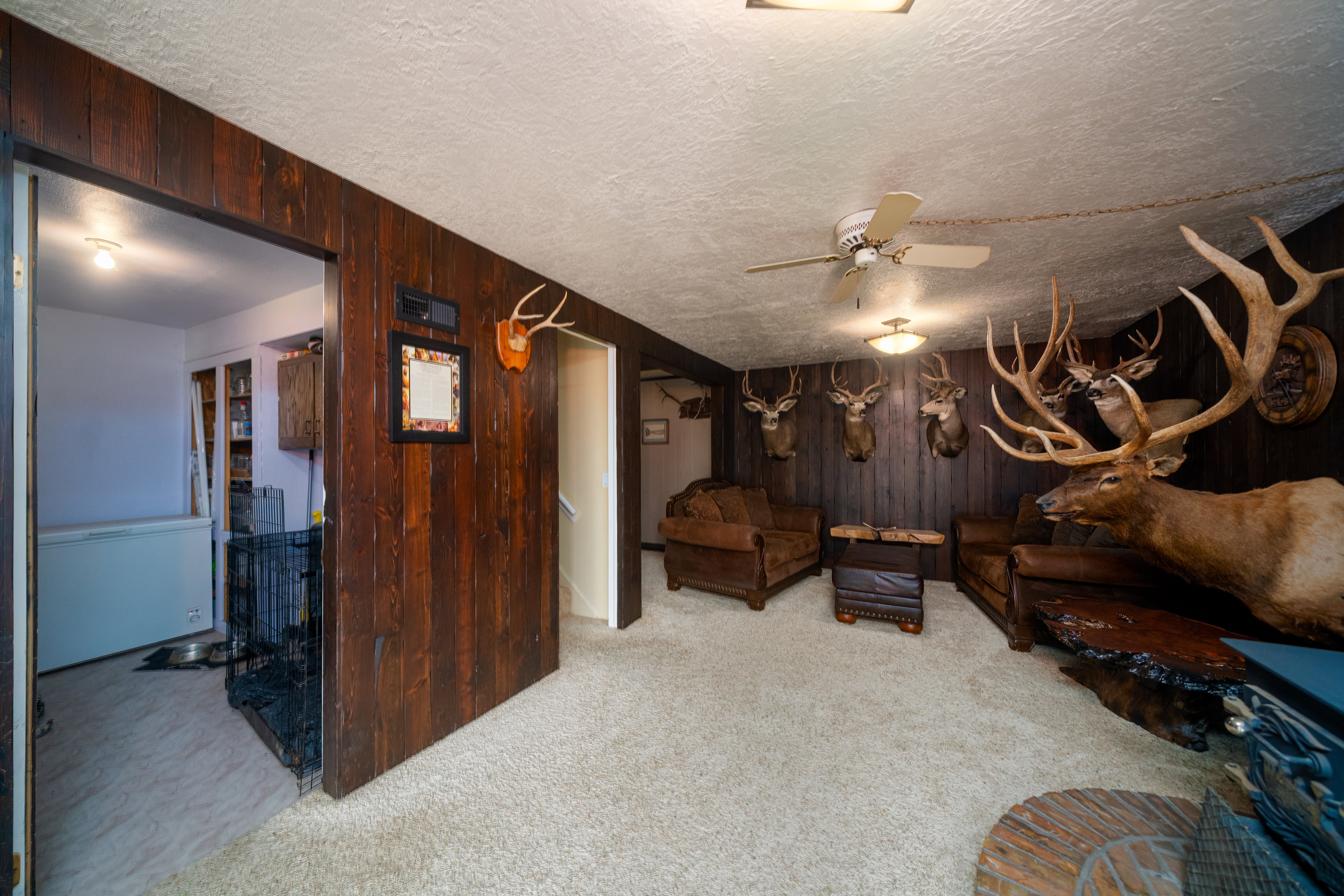 Carpeted room featuring wood-paneled walls and a ceiling fan