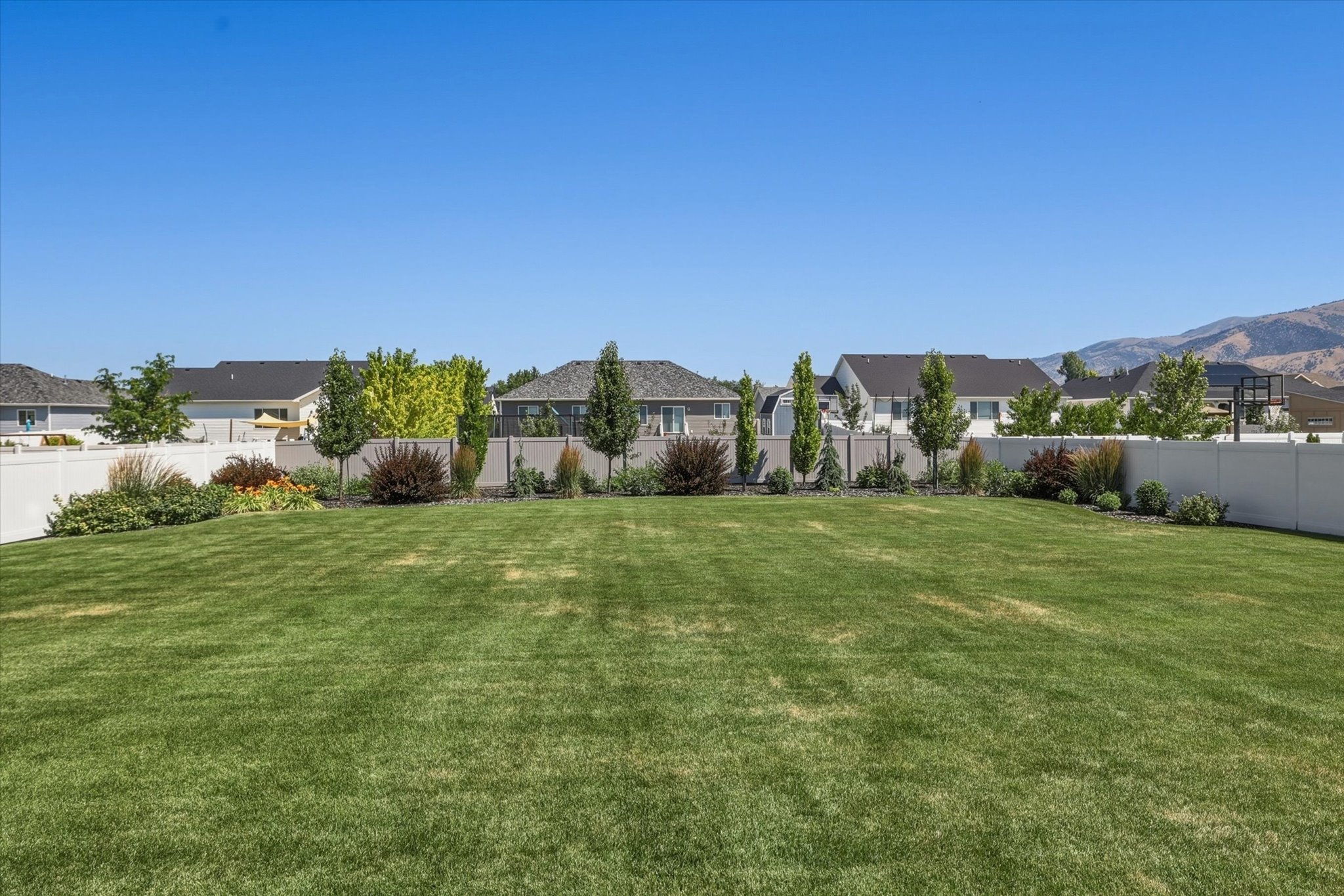 Expansive lawn area featuring a decorative border of shrubs and trees