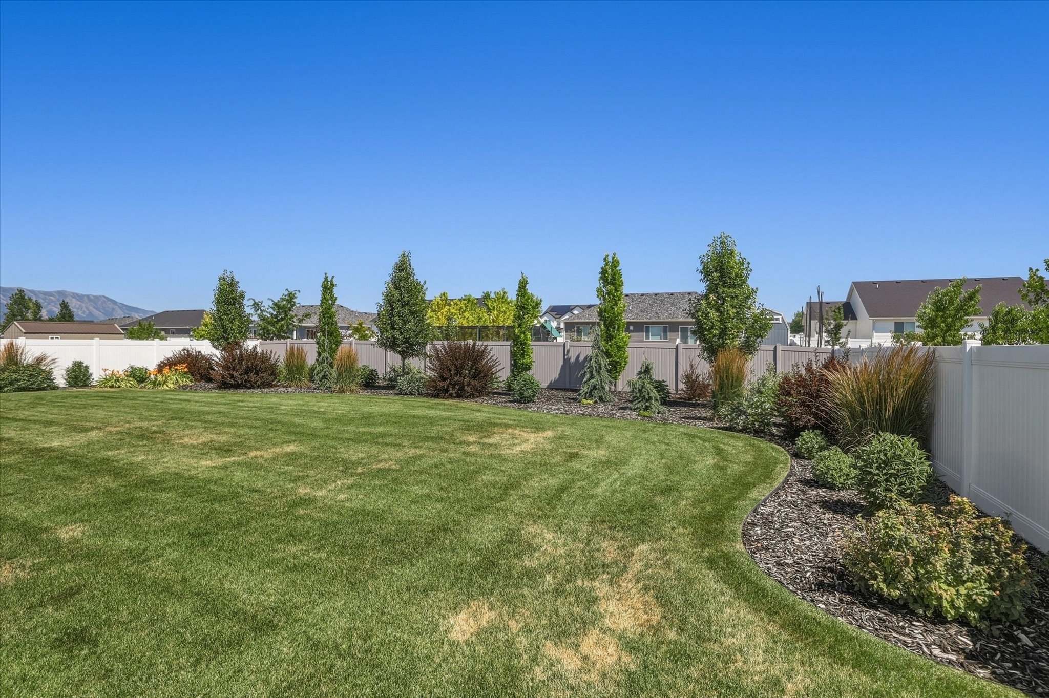 Expansive green lawn with a curved border, featuring mature trees and established shrubs