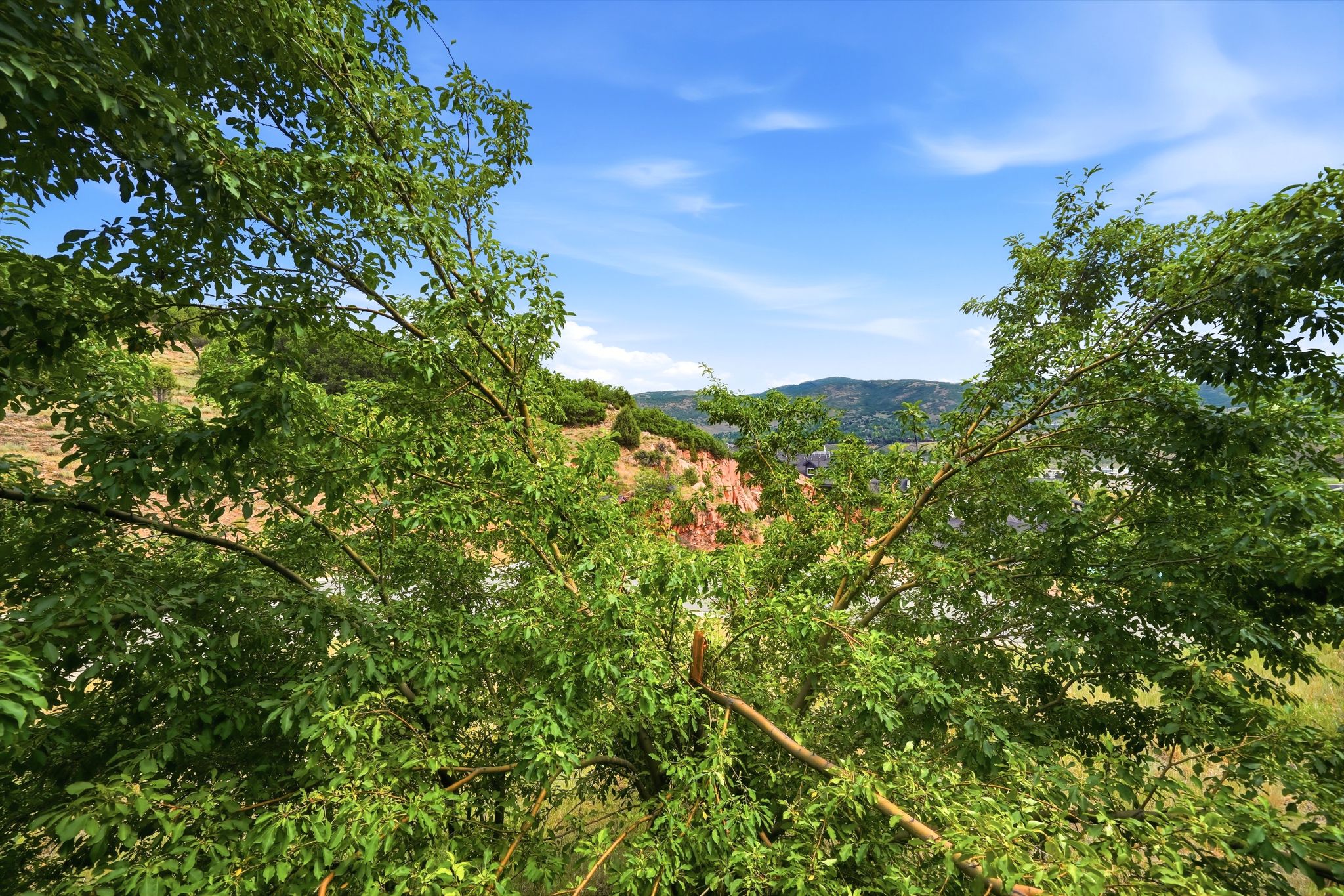 Lush green foliage framing expansive distant hills under a clear blue sky