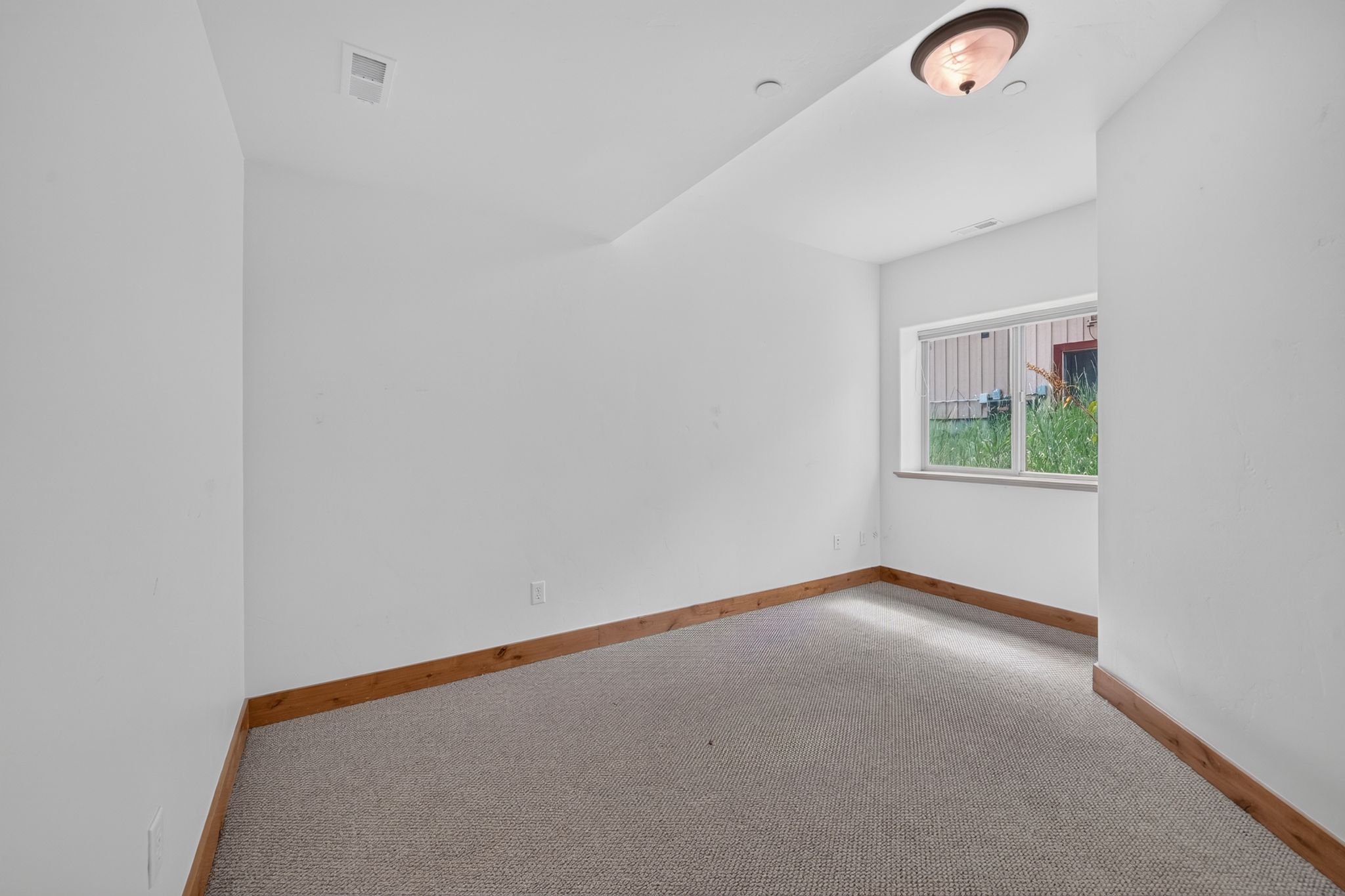 Carpeted room featuring a white window frame, wood-finish base trim, and a ceiling-mounted light fixture