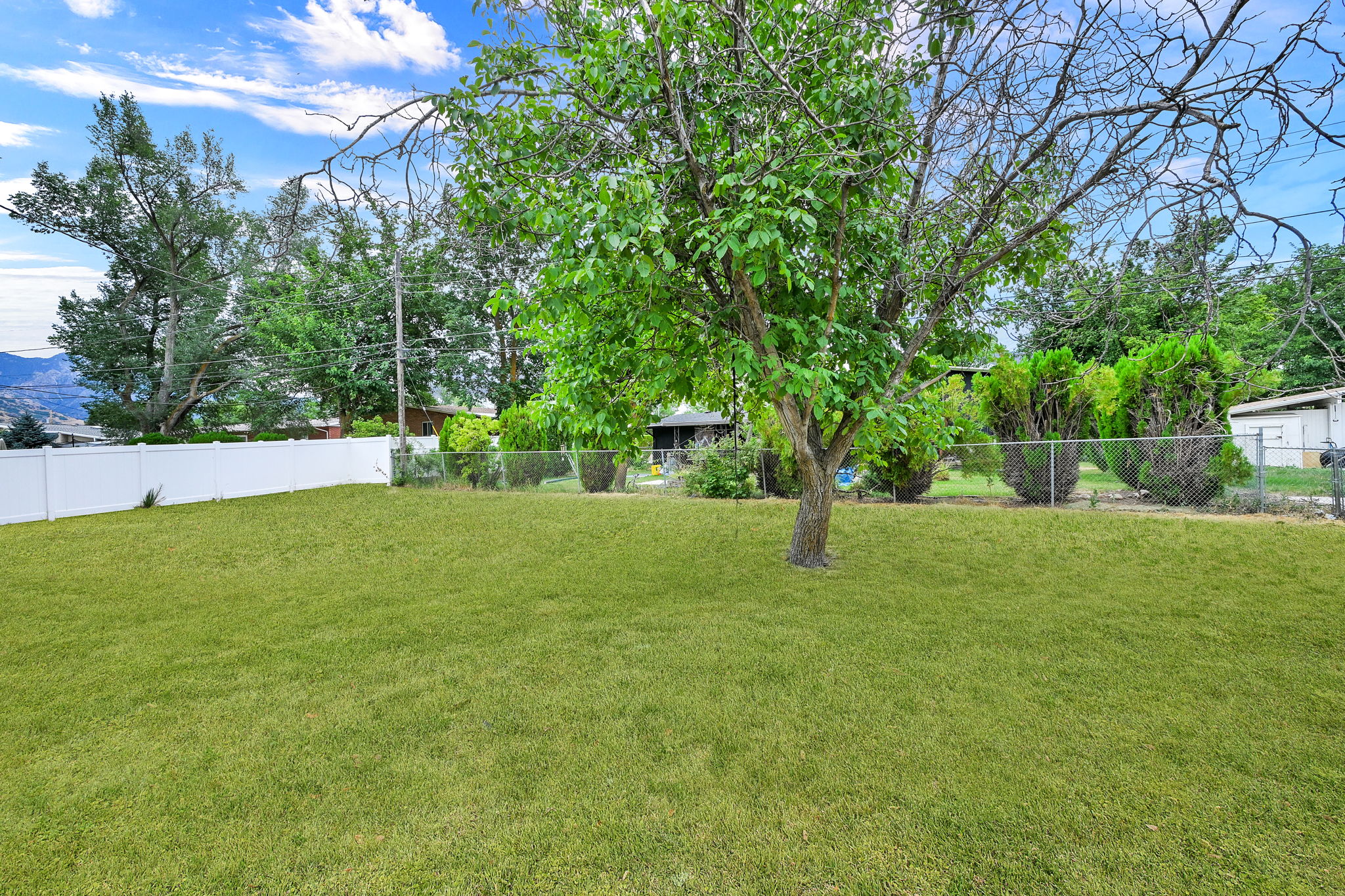 Yard