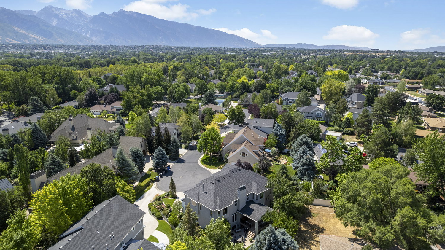 Expansive residential area featuring mature tree coverage and a mountainous backdrop