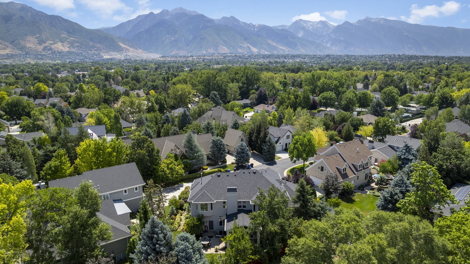 Expansive neighborhood featuring mature trees and a distant mountain backdrop