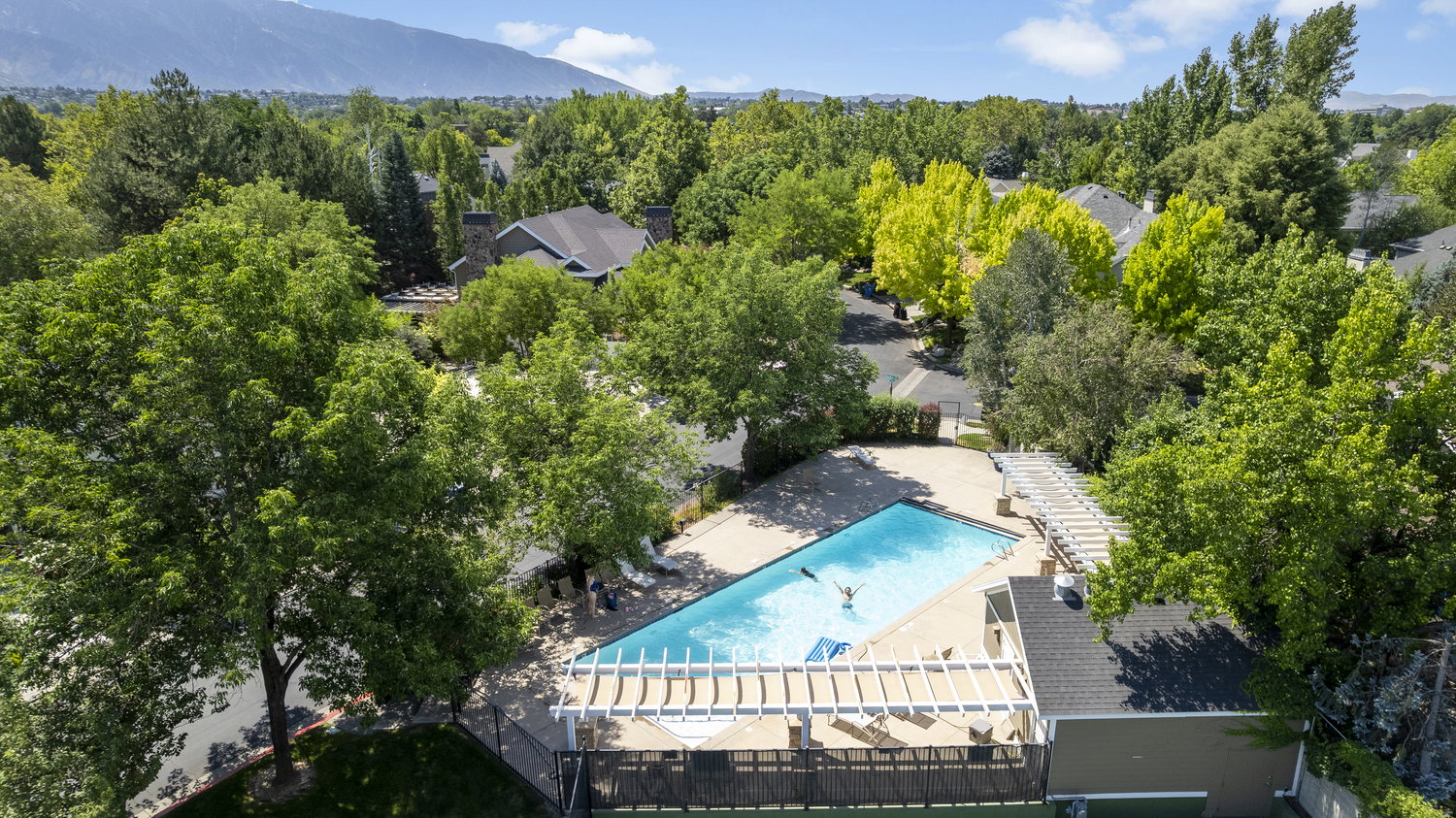 Community swimming pool with surrounding deck space, a pergola-covered seating area, and mature landscaping
