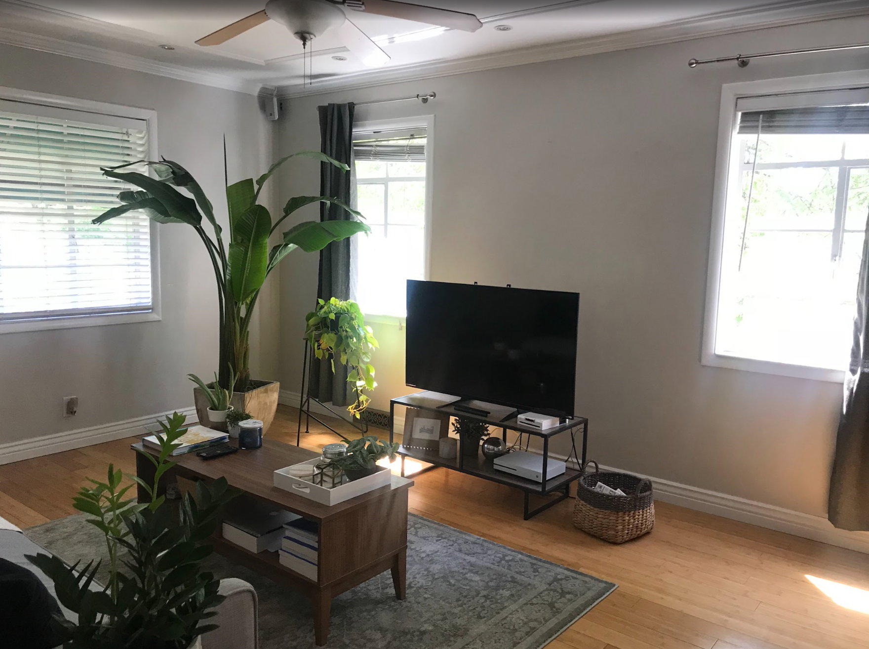 Living area featuring wood-finish flooring, white window blinds, and crown molding