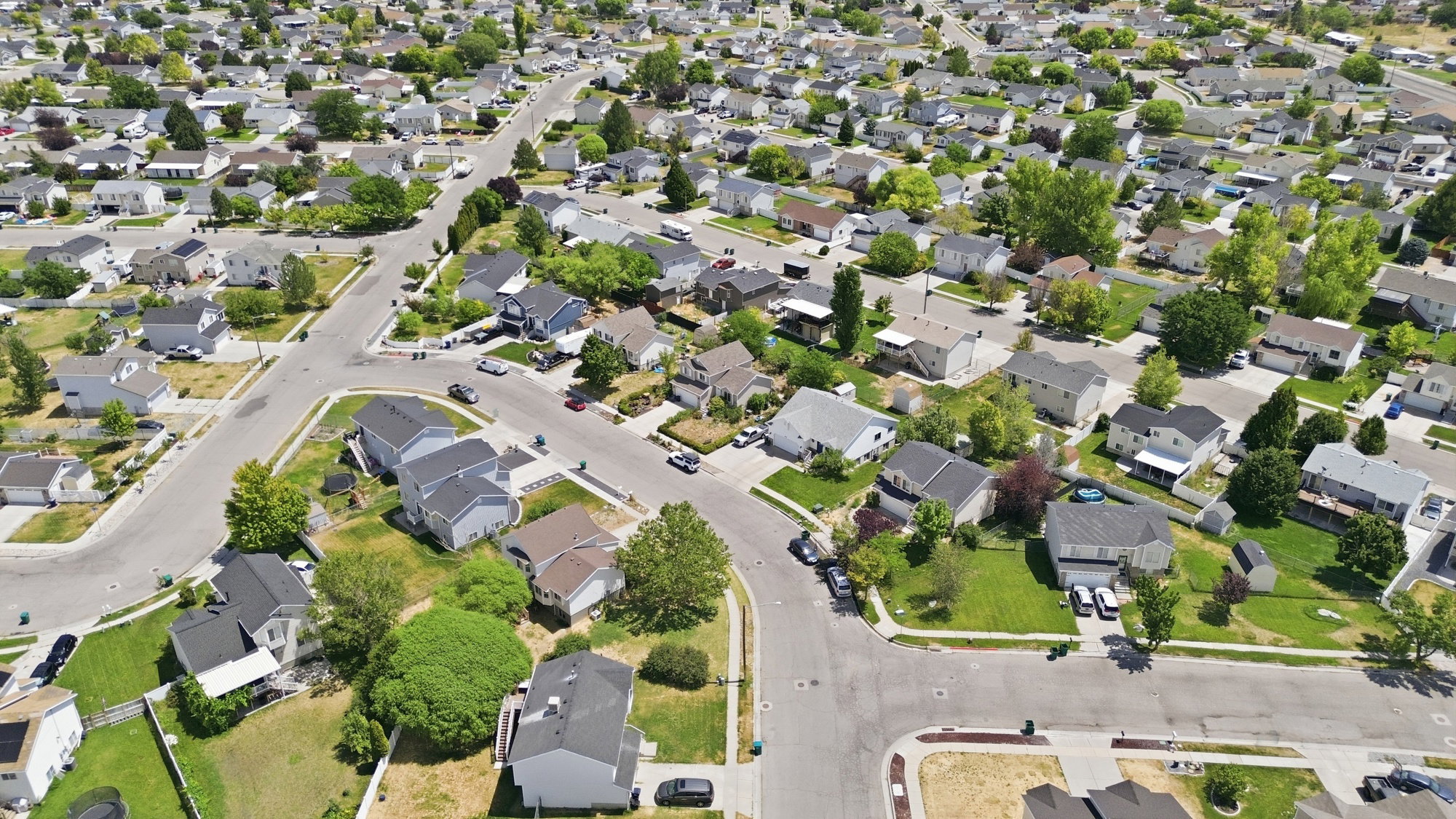 Residential streets and houses featuring varied architectural styles and established landscaping