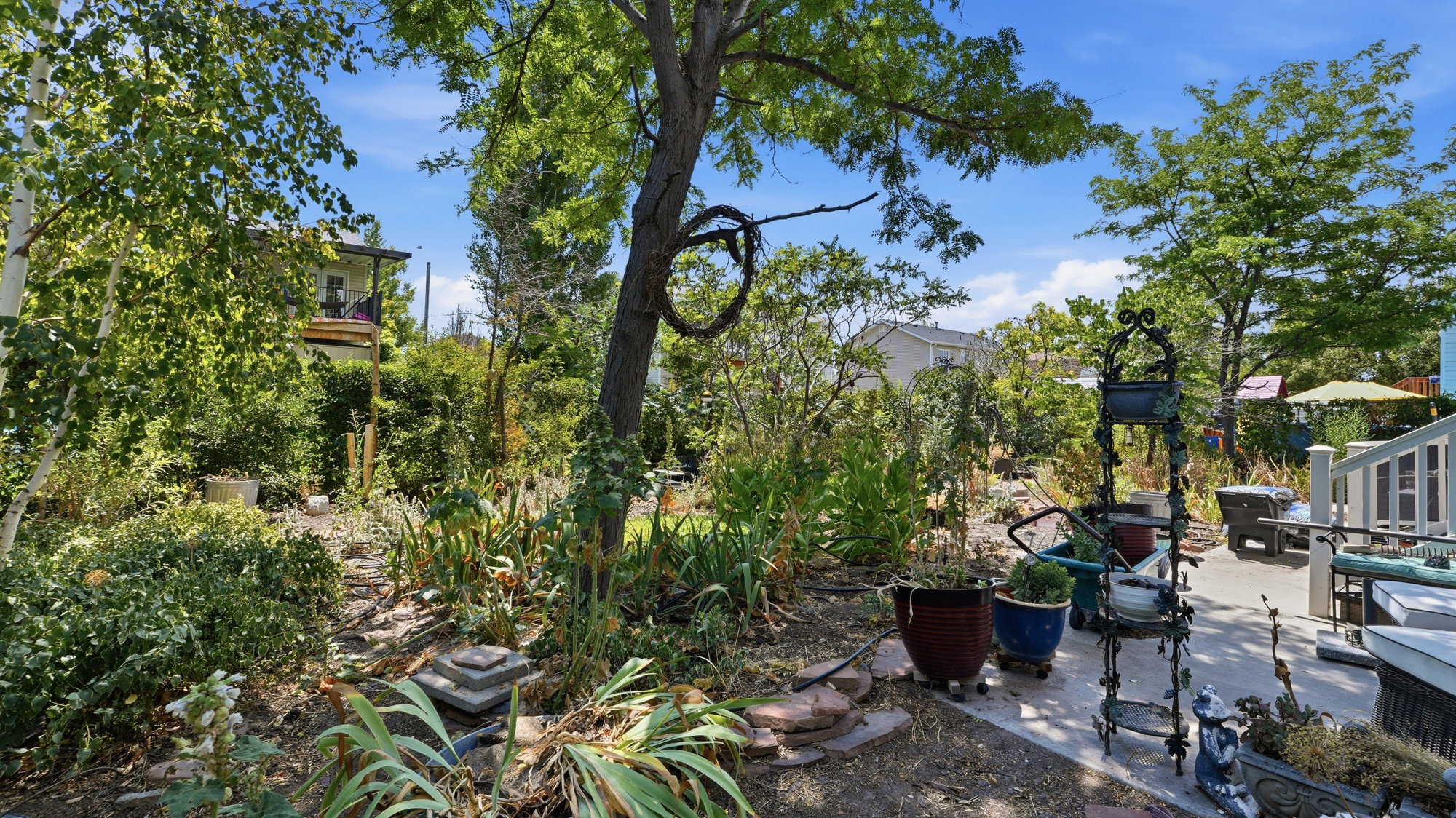 Back yard