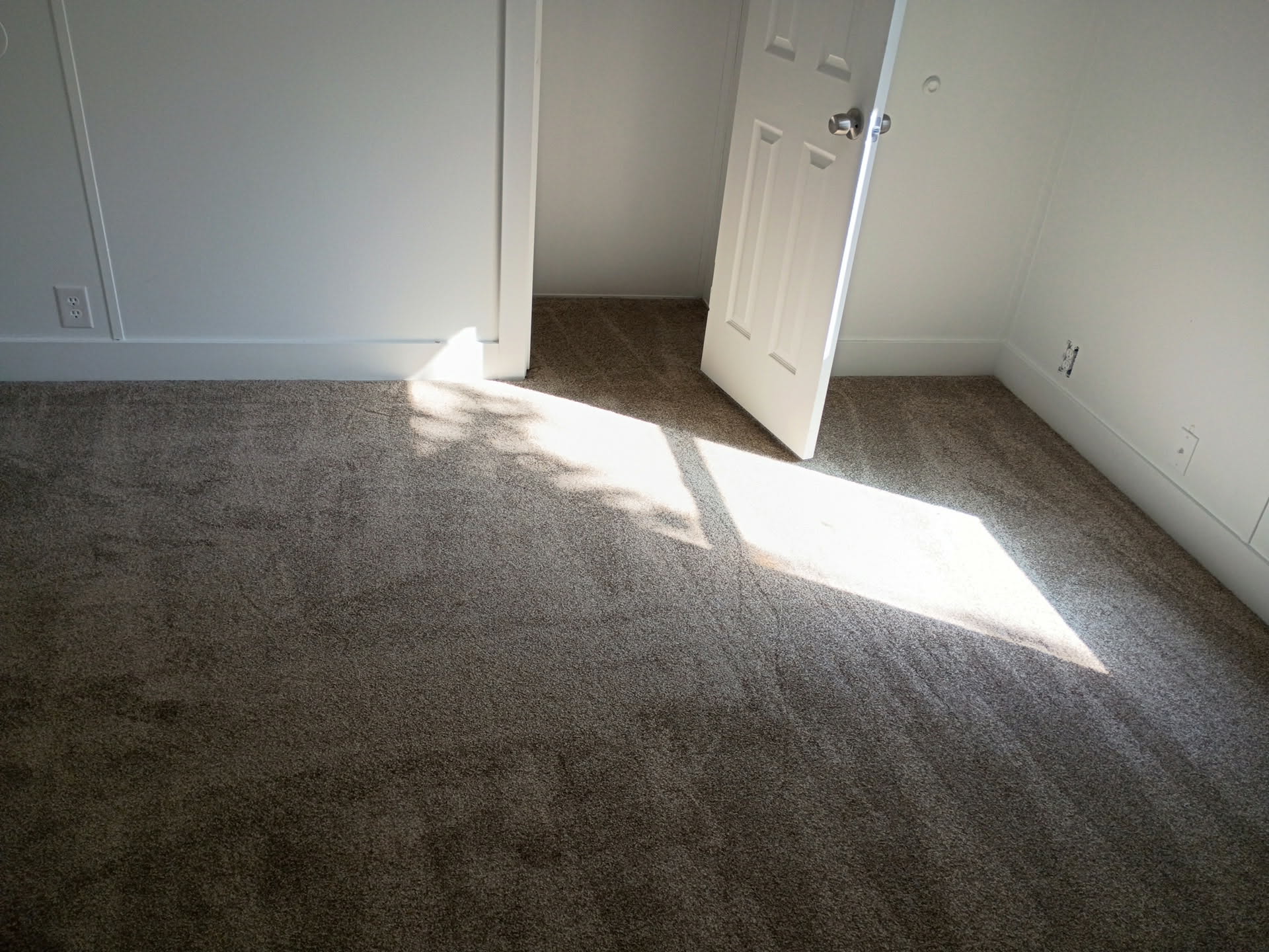 Plush gray carpet flooring paired with crisp white walls and baseboards