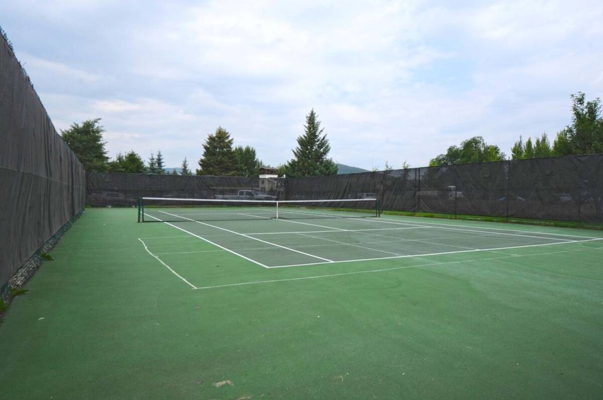 Private tennis court featuring a green playing surface with white line markings, surrounded by dark mesh fencing and mature trees
