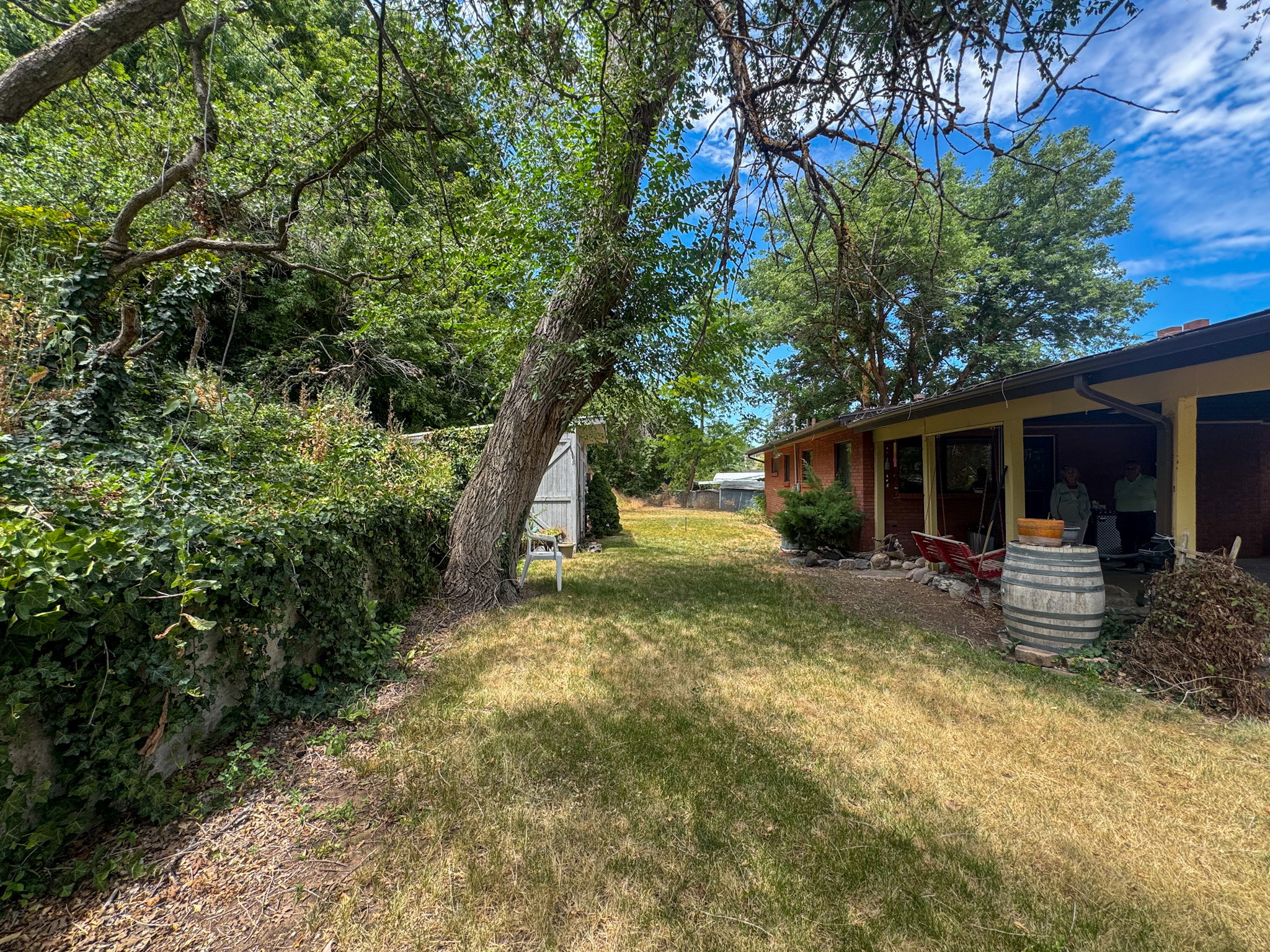 Expansive backyard featuring mature trees, a detached storage shed, and a covered patio