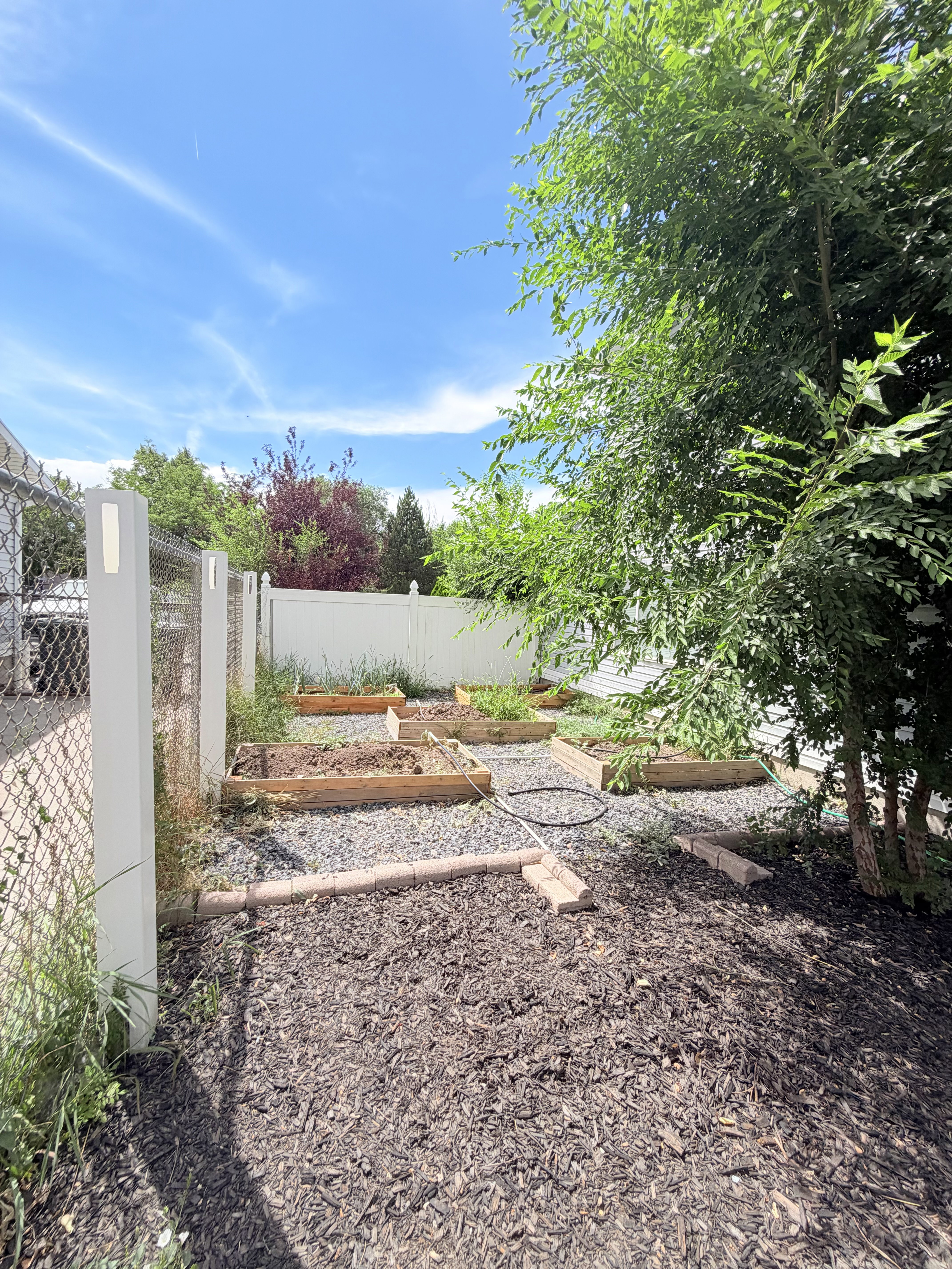 Backyard garden area featuring multiple raised garden beds, wood chip ground cover, and a white privacy fence