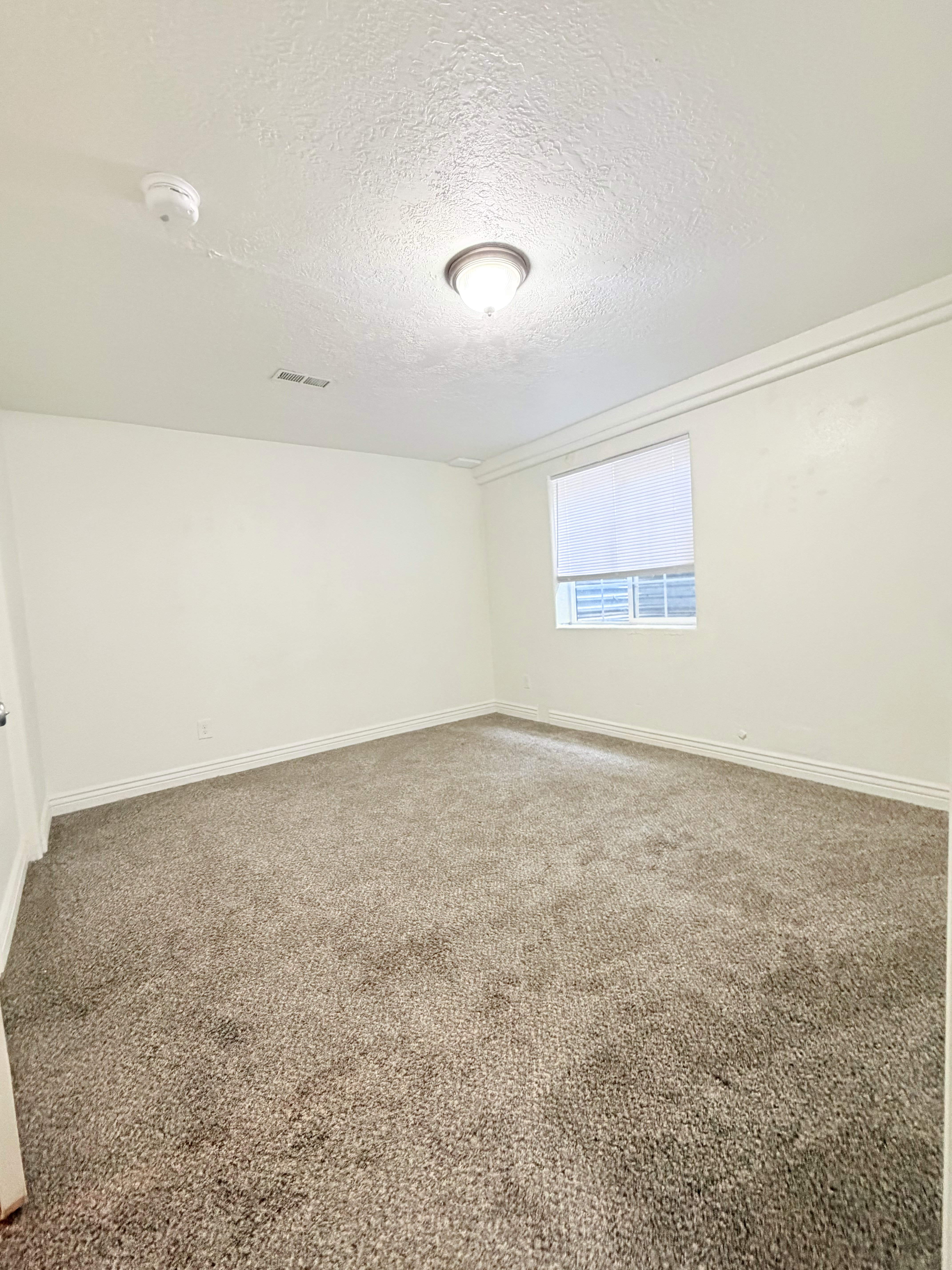 Carpeted room with white walls, crown molding, a flush-mount ceiling light, and a window with blinds