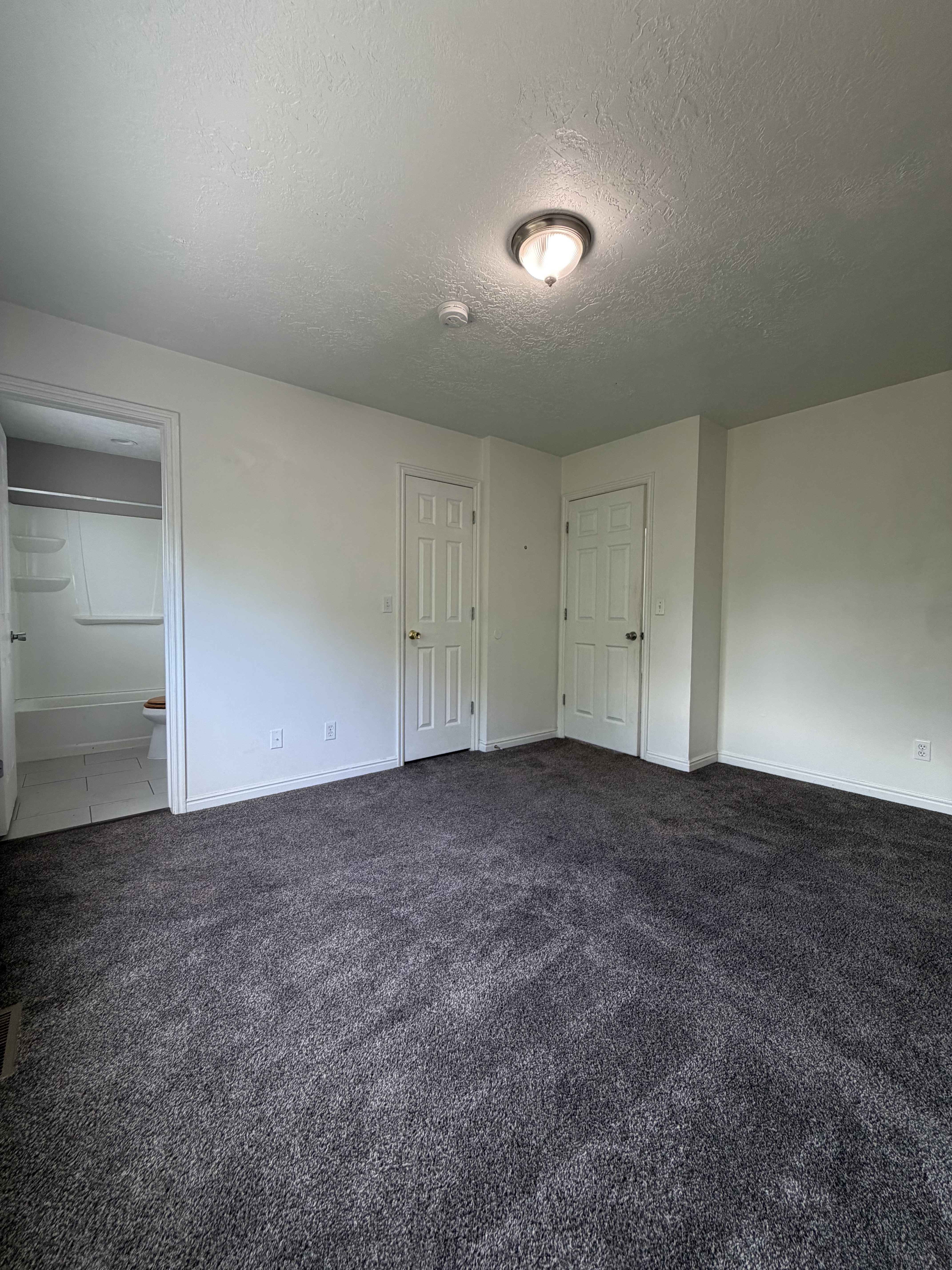 Spacious room featuring dark gray carpet flooring, clean white walls, a flush-mount ceiling light fixture, and two paneled doors