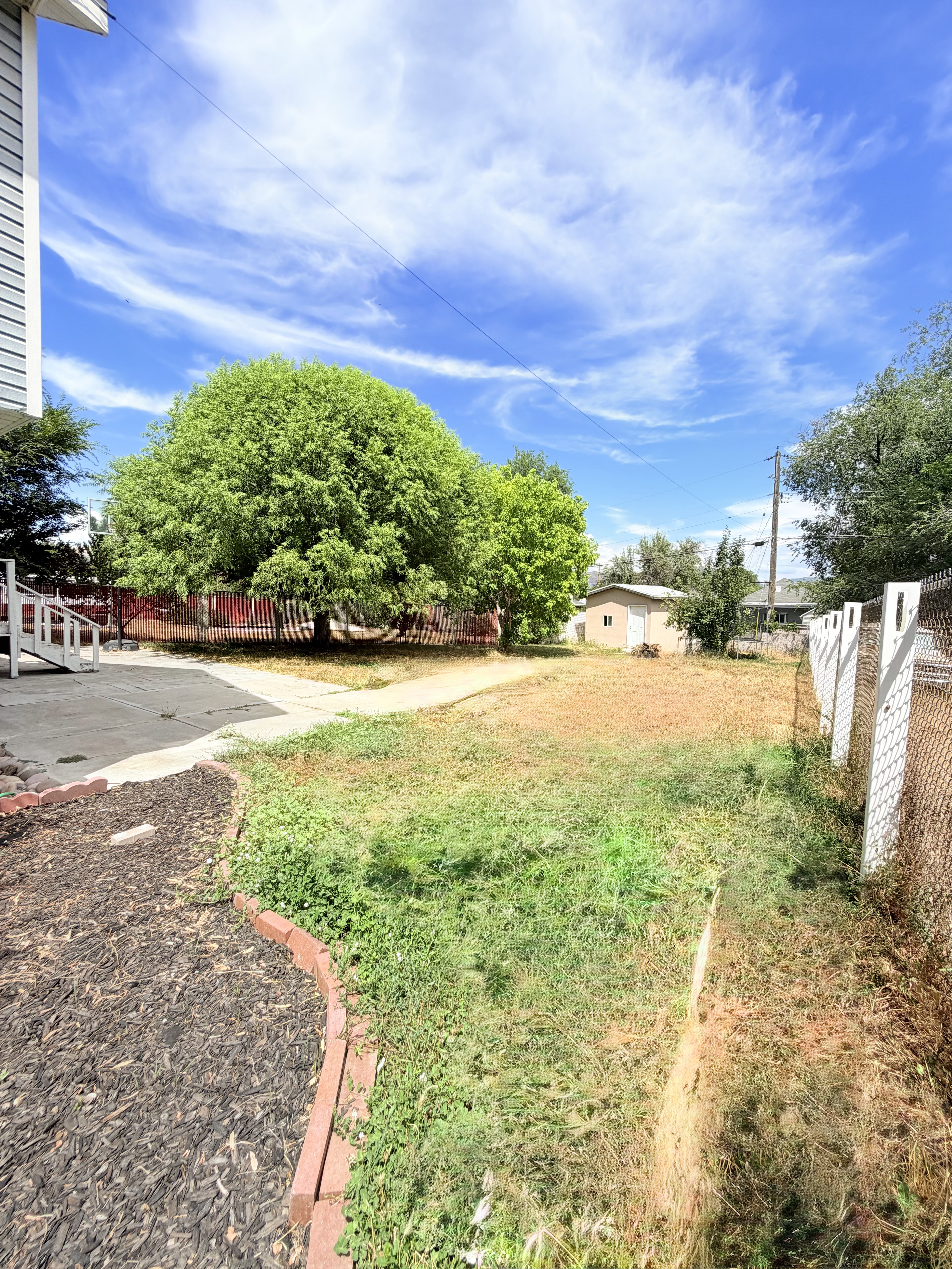 Expansive backyard space featuring mature trees and a chain-link fence